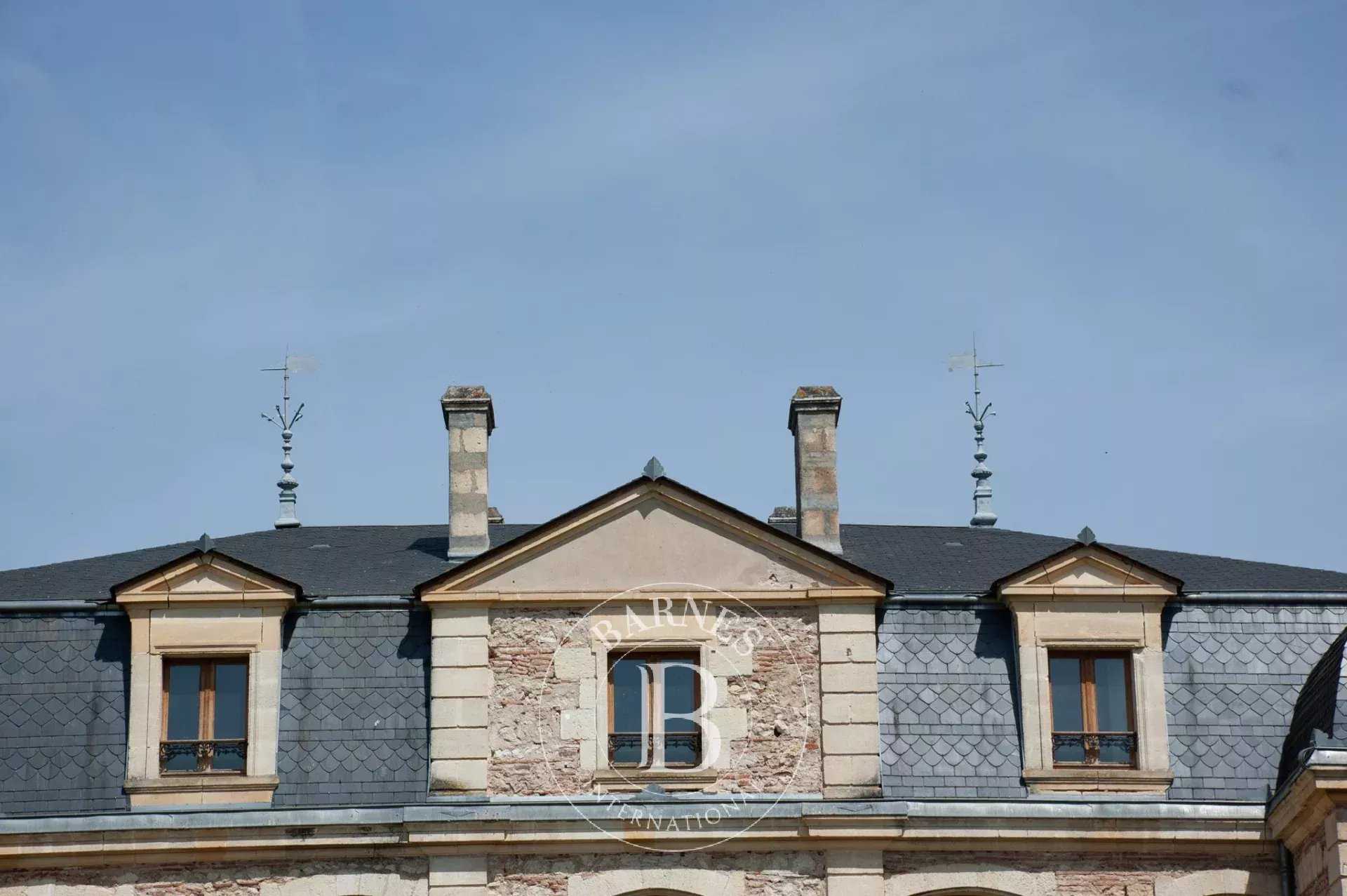Clairac  - Château 22 Pièces 11 Chambres