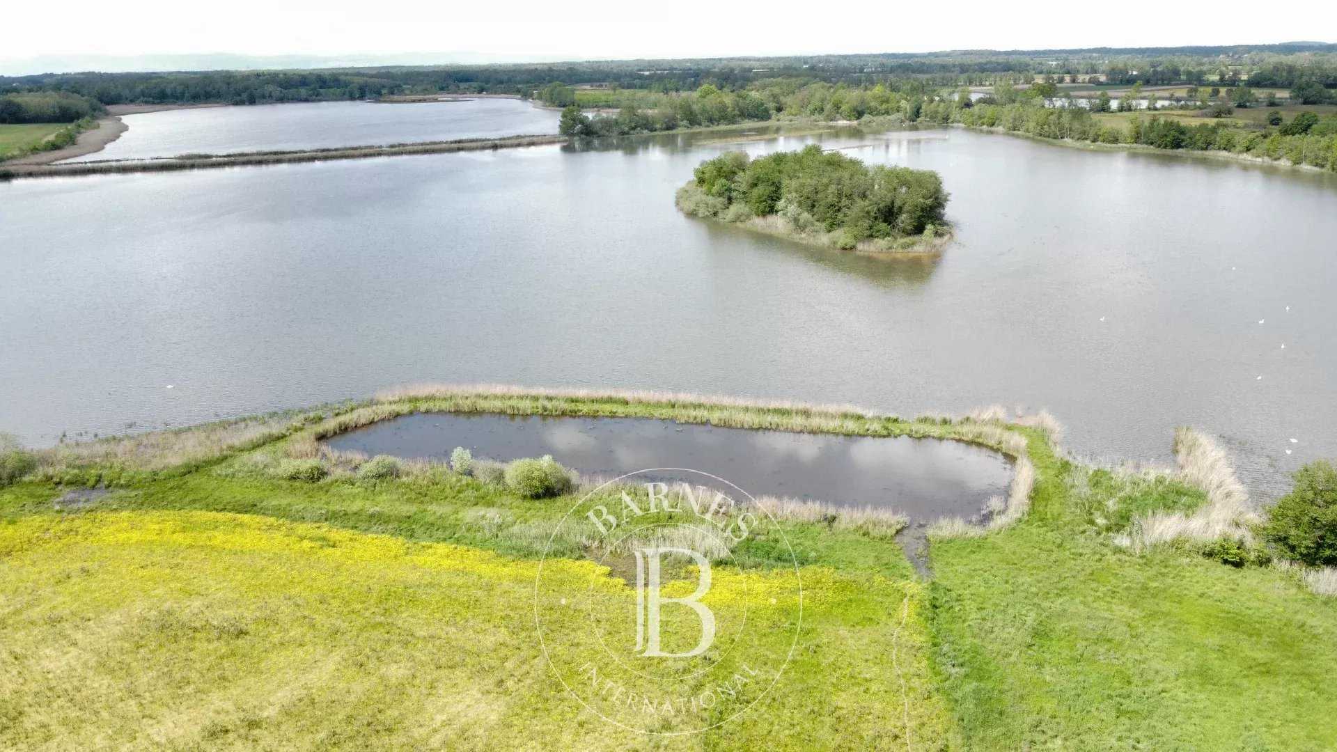 Villars-les-Dombes  - Propriété 