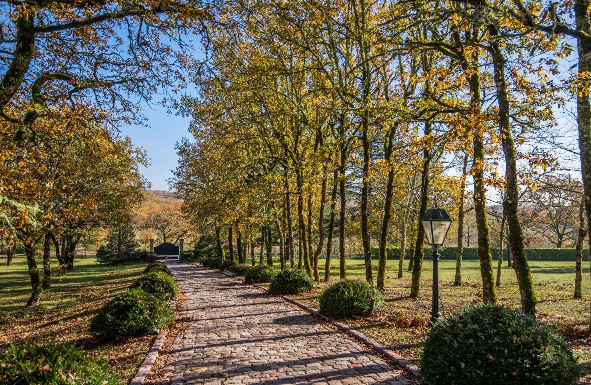 Cahors  - Château 12 Pi&egrave;ces 7 Chambres