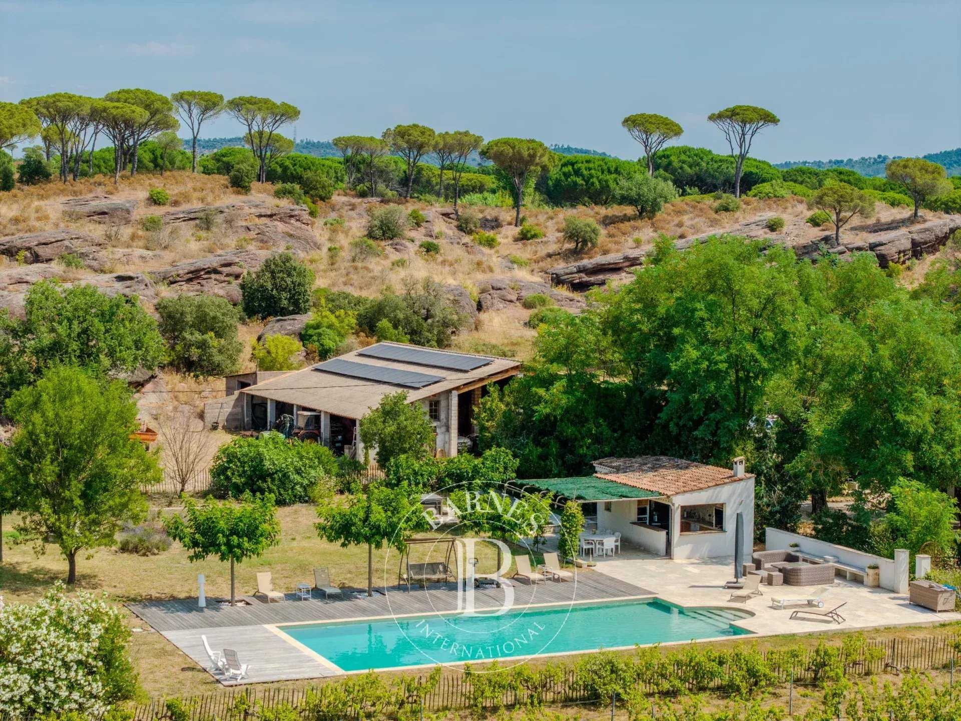 Vidauban  - Vineyard property 8 Bedrooms