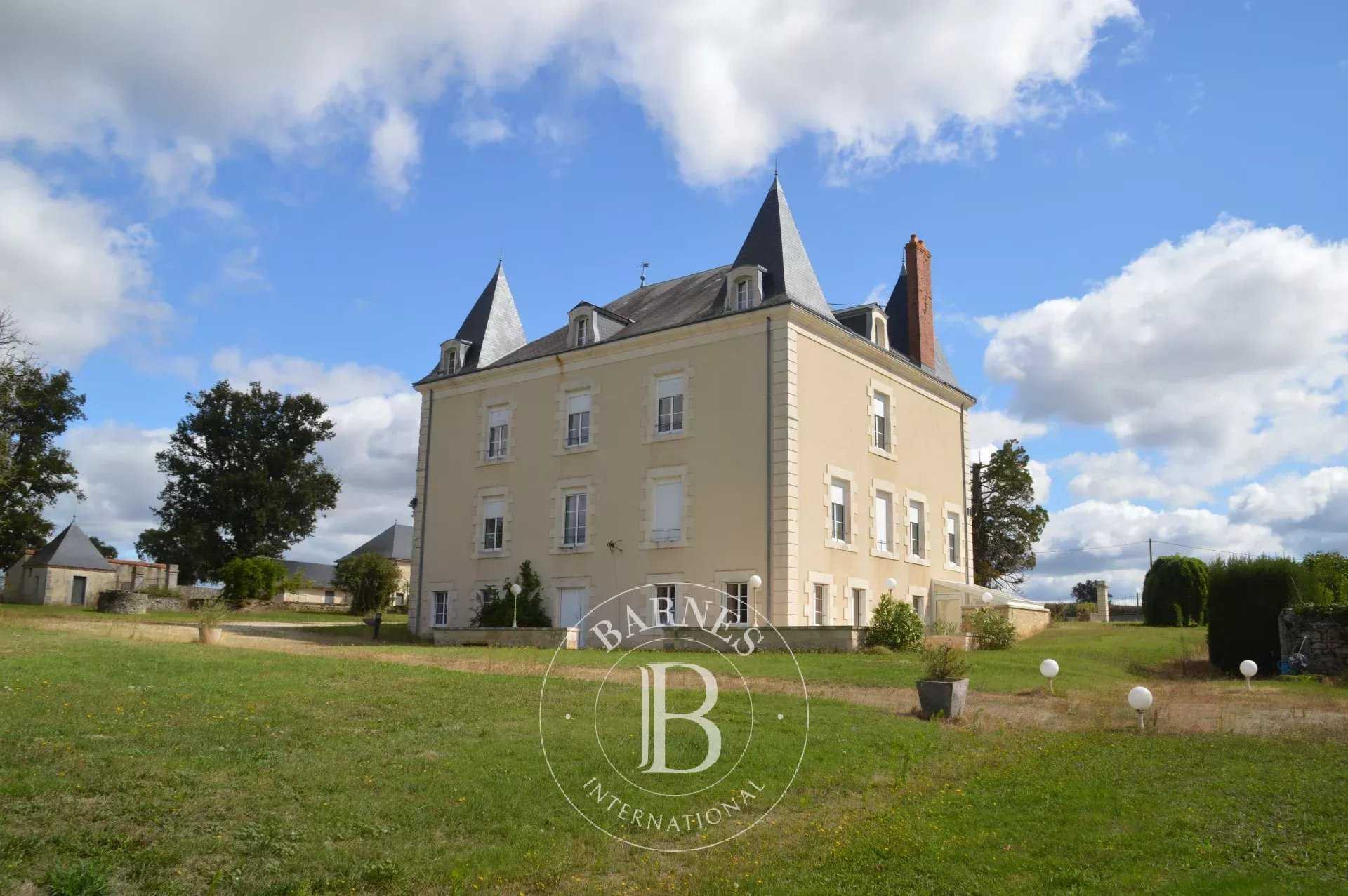 La Trimouille  - Manor house 12 Bedrooms
