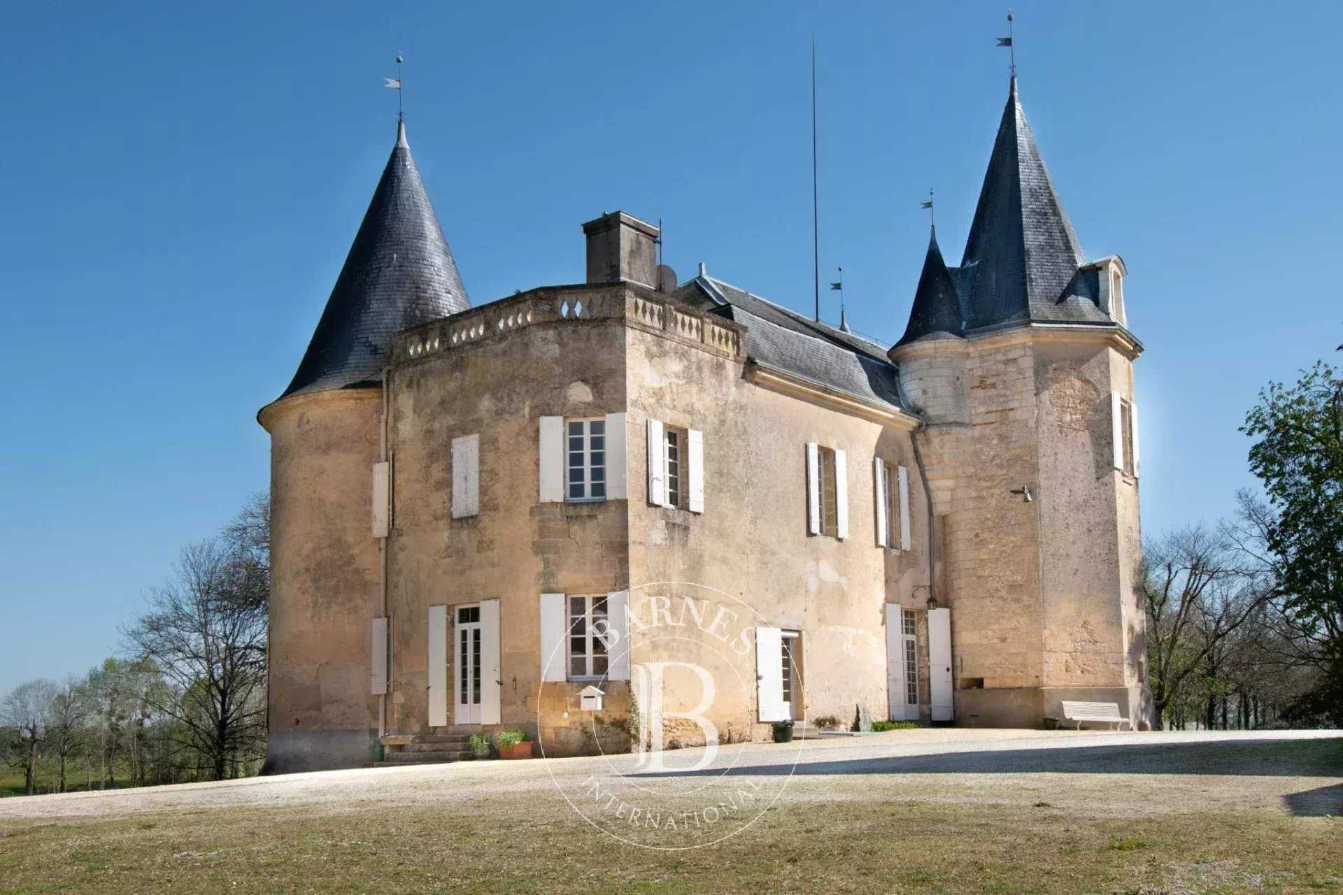 Bergerac  - Château 11 Pièces 8 Chambres