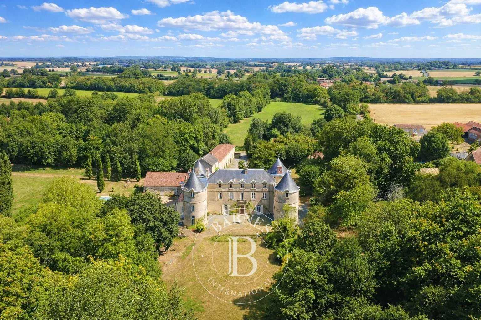 La Châtaigneraie  - Château 