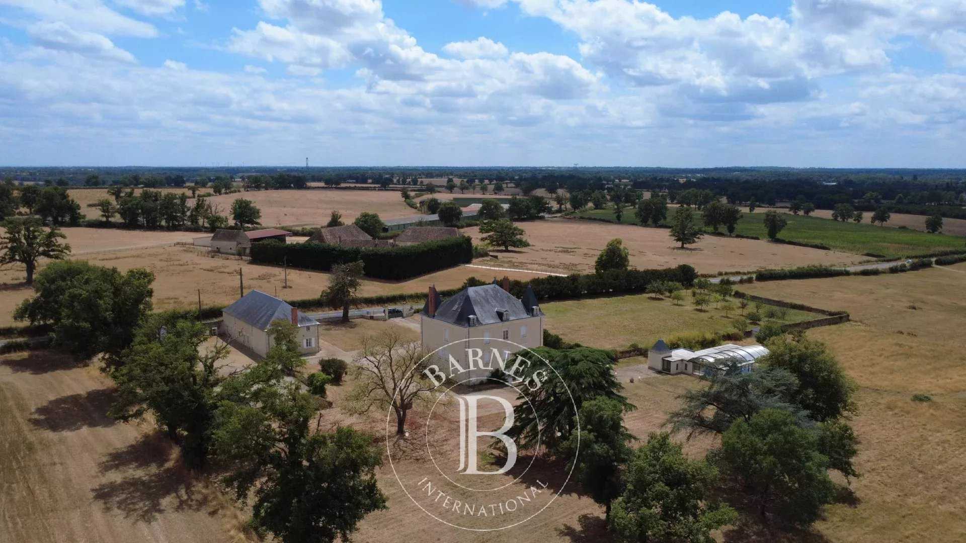 La Trimouille  - Manor house 12 Bedrooms