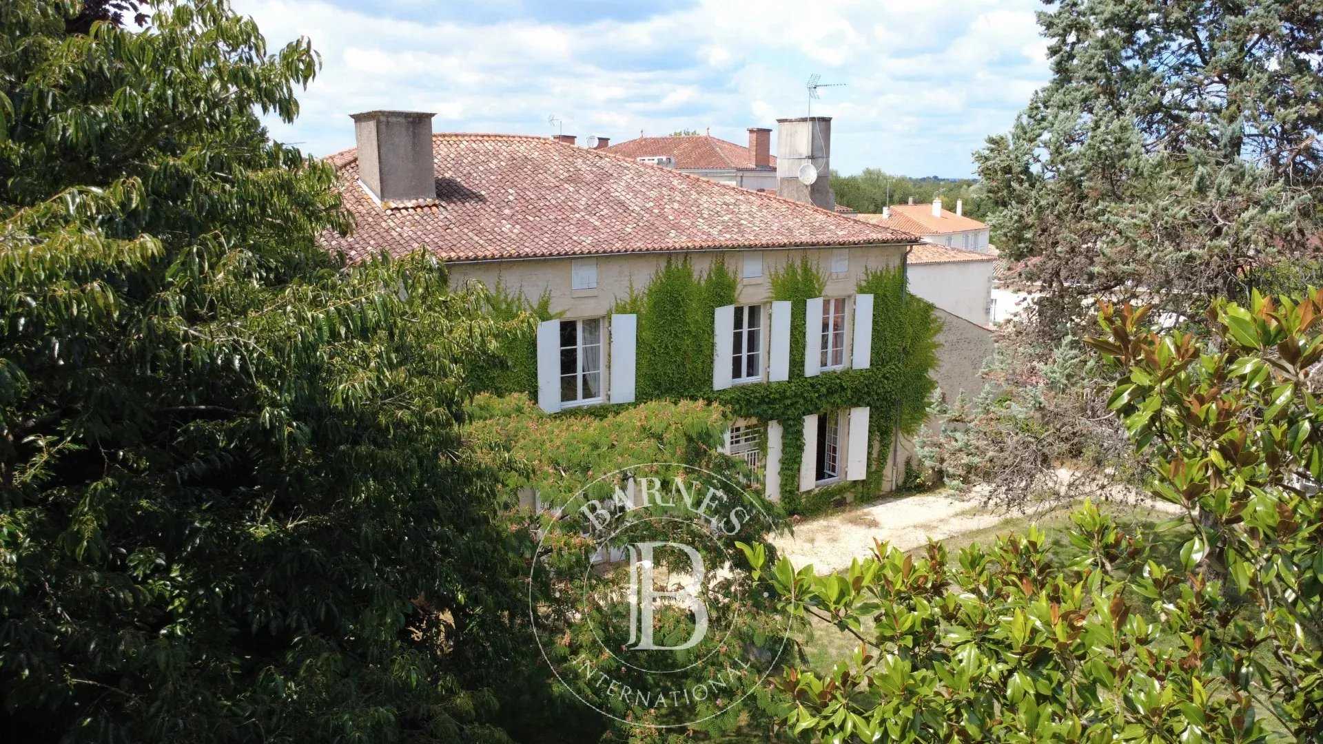 Maillezais  - Manor house 6 Bedrooms