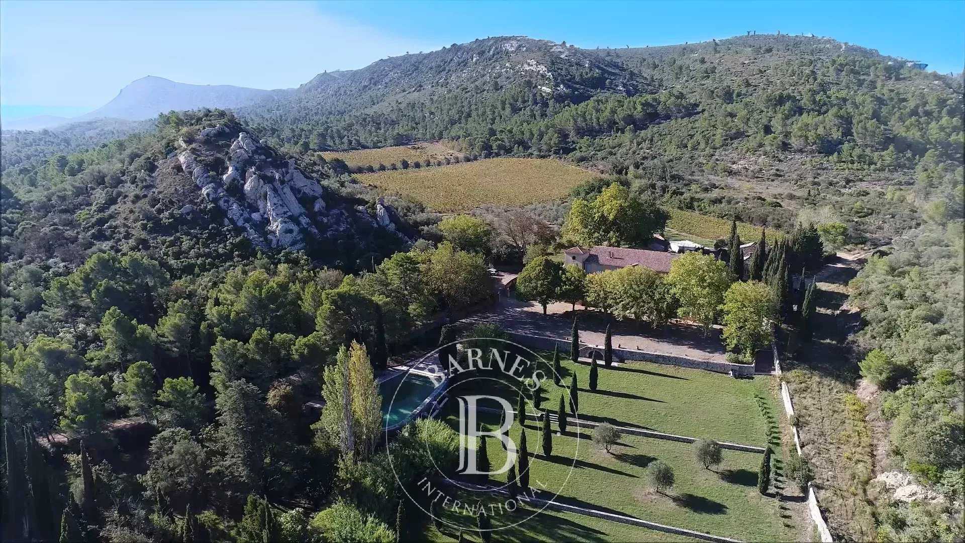 Thézan-des-Corbières  - Propriété viticole 38 Pièces