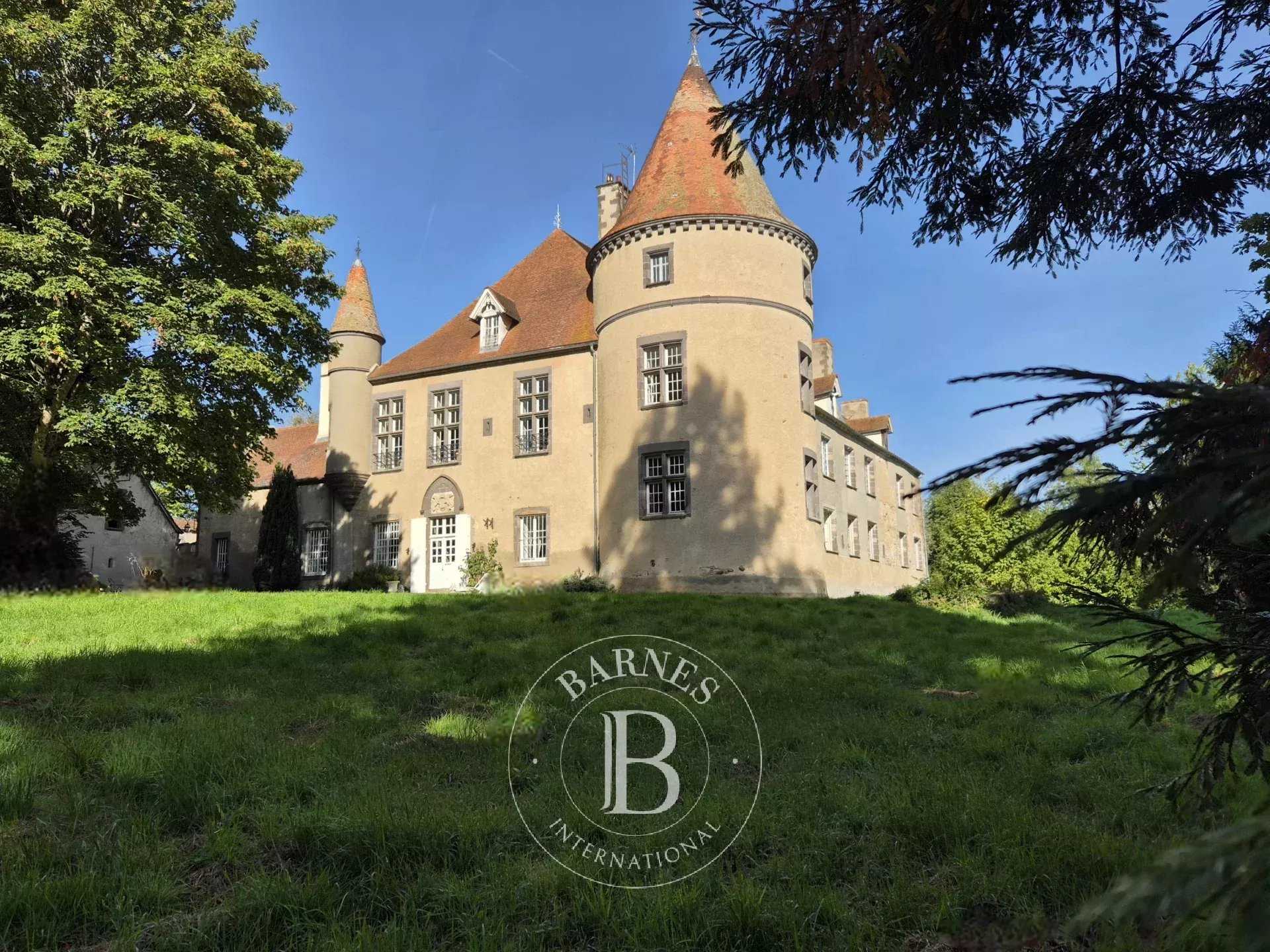 Blot-l'Église  - Castle 8 Bedrooms