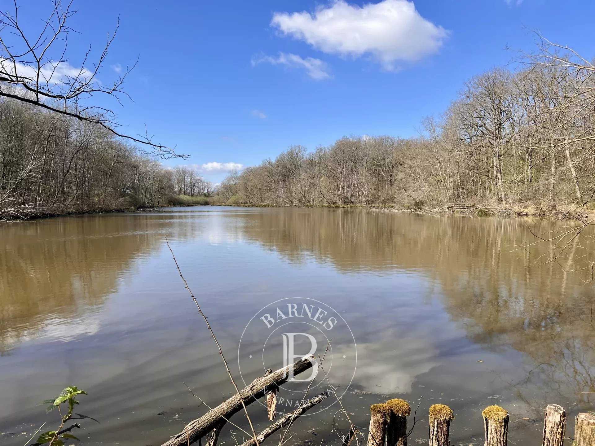 Beaune  - Property 4 Bedrooms