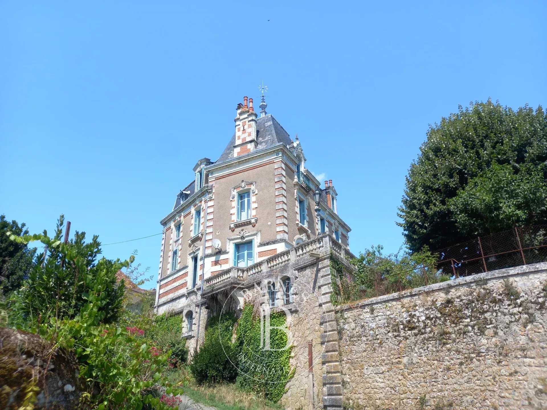 Hôtel particulier La Roche-Posay  -  ref 86154194 (picture 1)