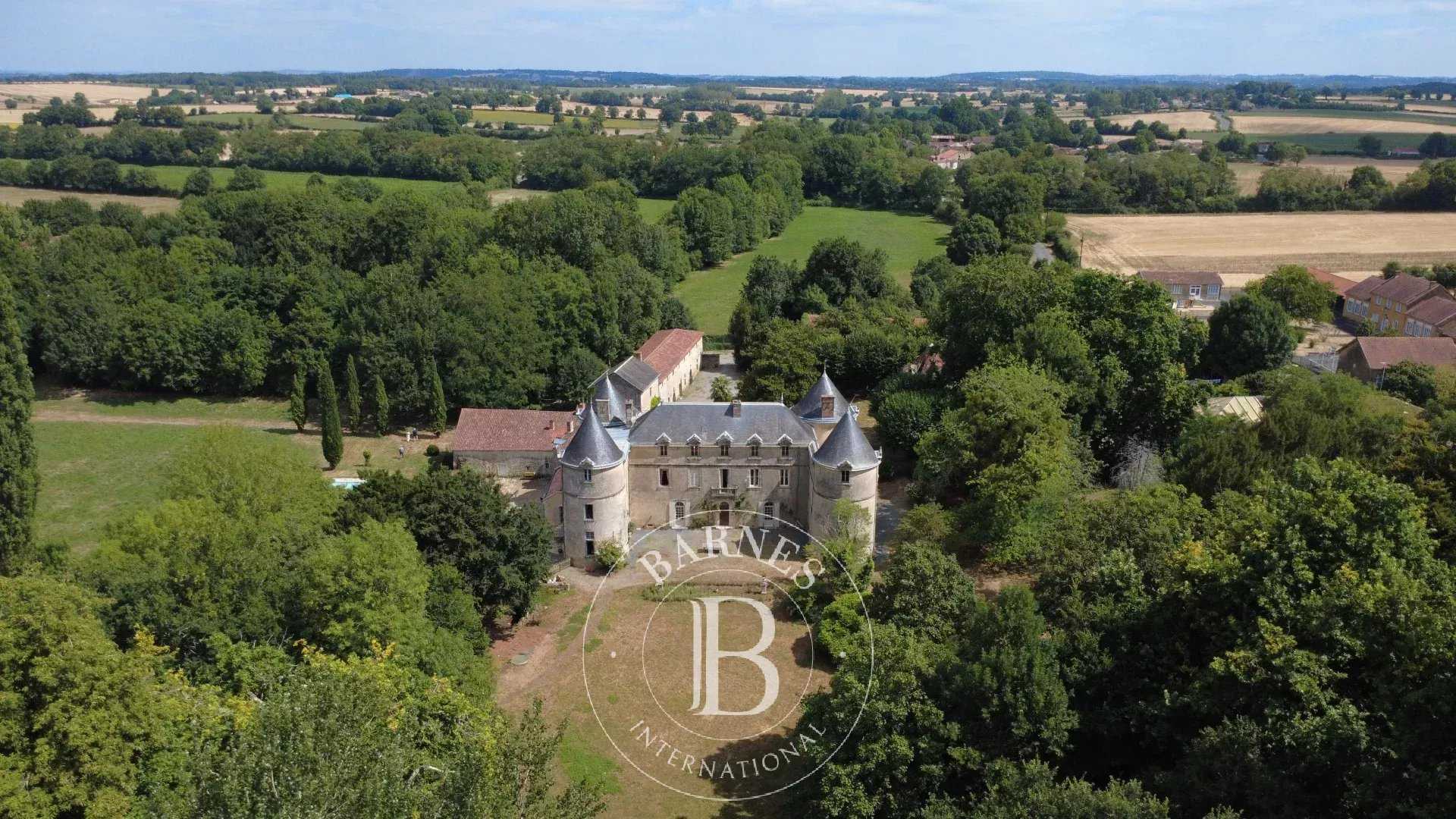 Castle La Châtaigneraie  -  ref 86122953 (picture 3)