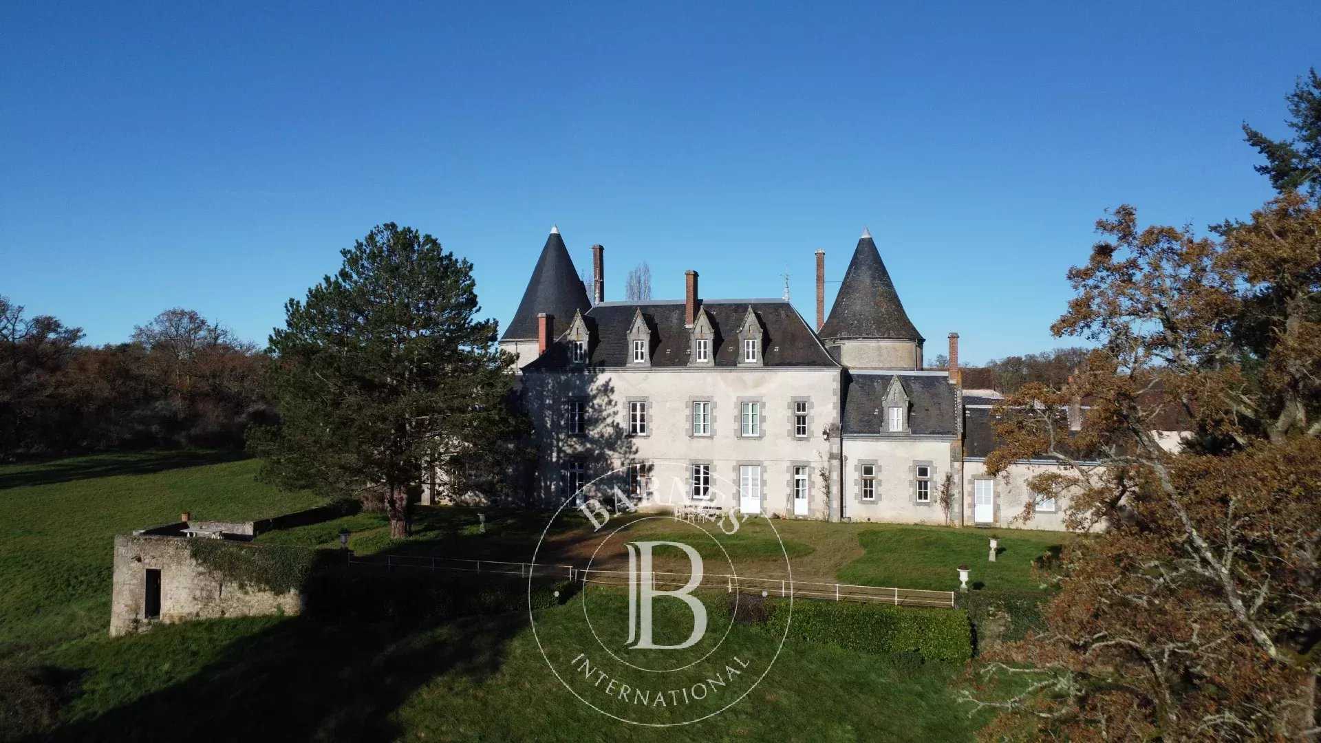 Castle Le Dorat  -  ref 85607812 (picture 2)