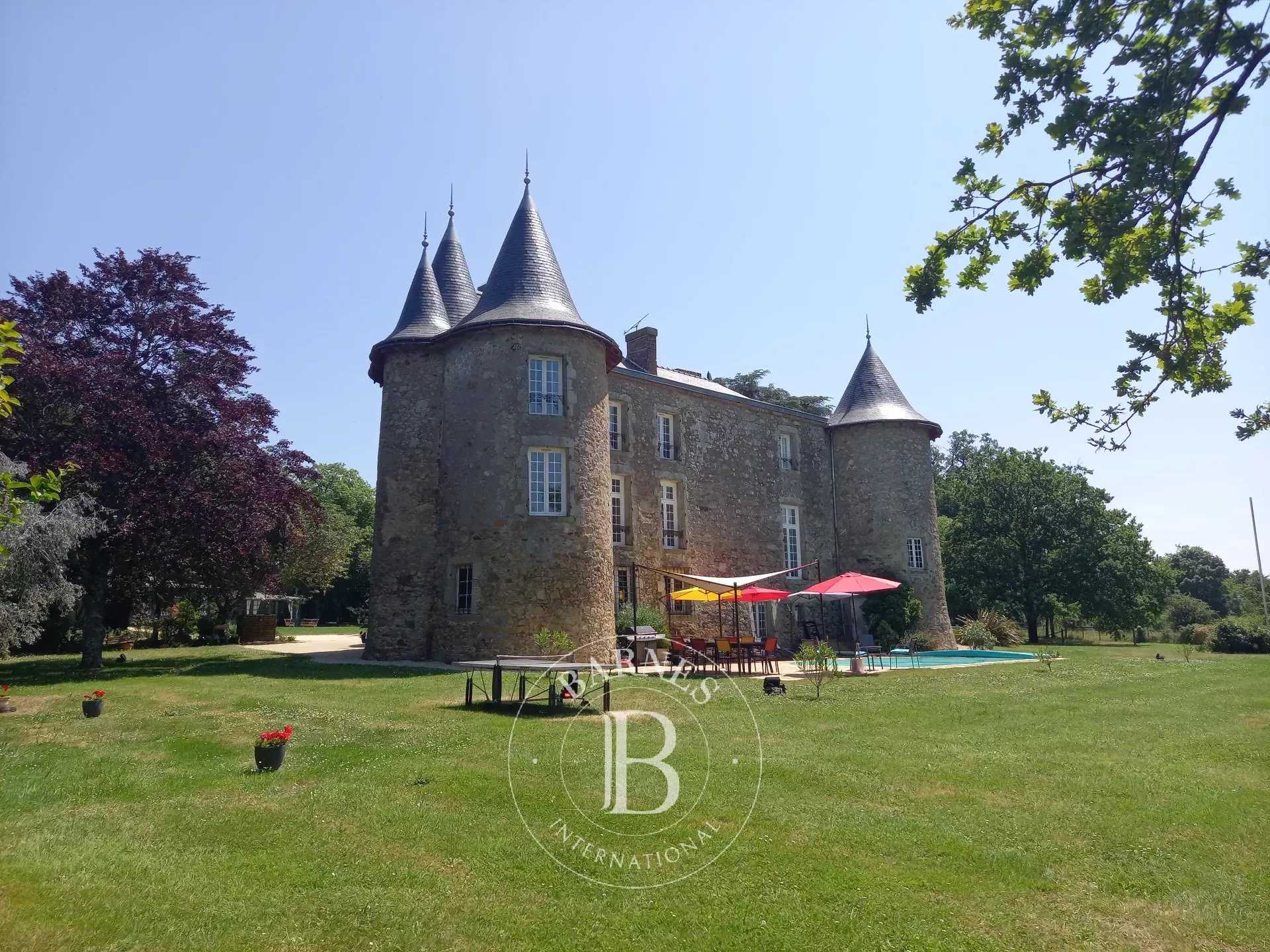 Castle Saint-Laurent-sur-Sèvre  -  ref 2553543 (picture 3)