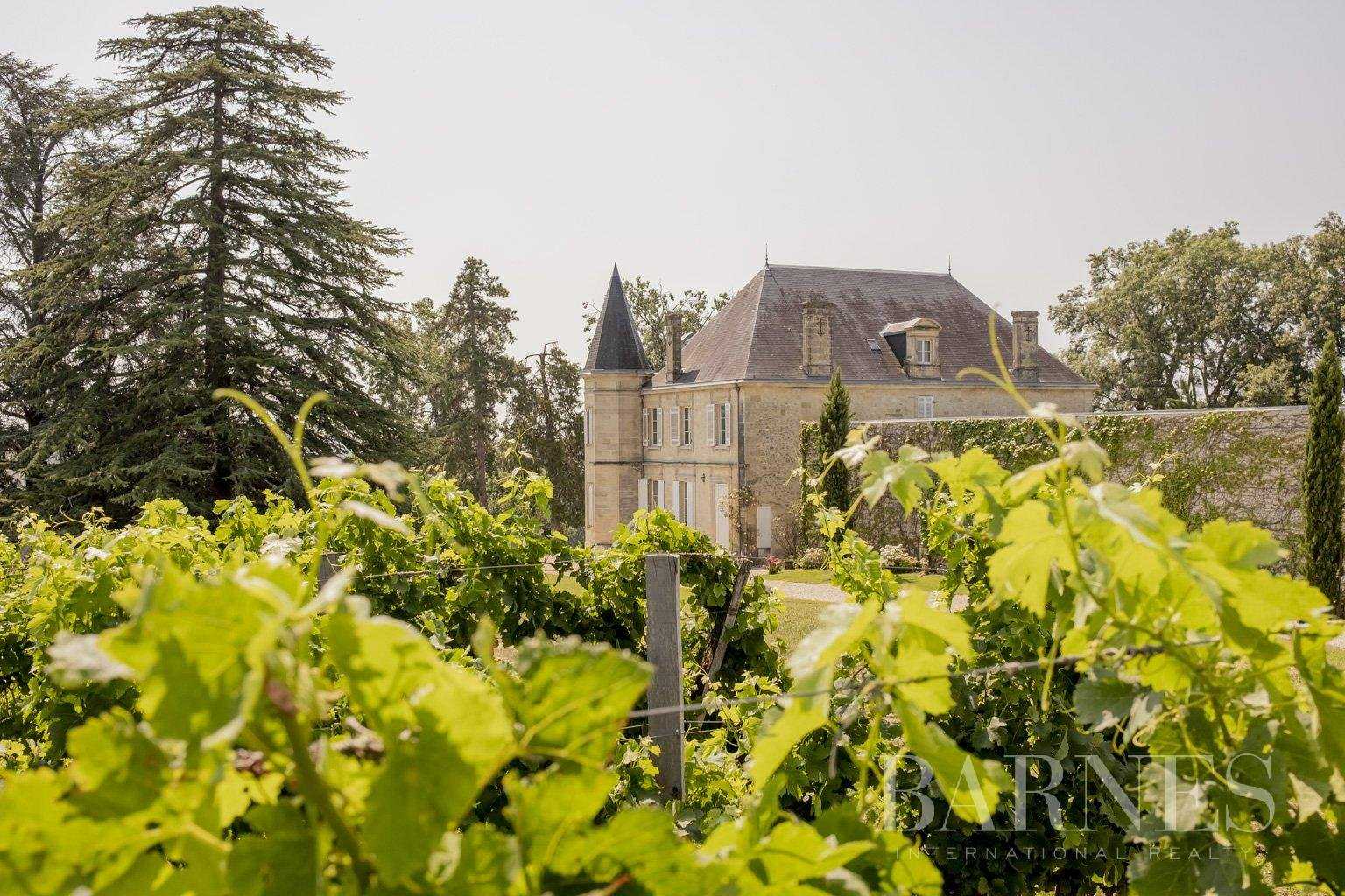 Bordeaux  - Propriété viticole 1 Pièce
