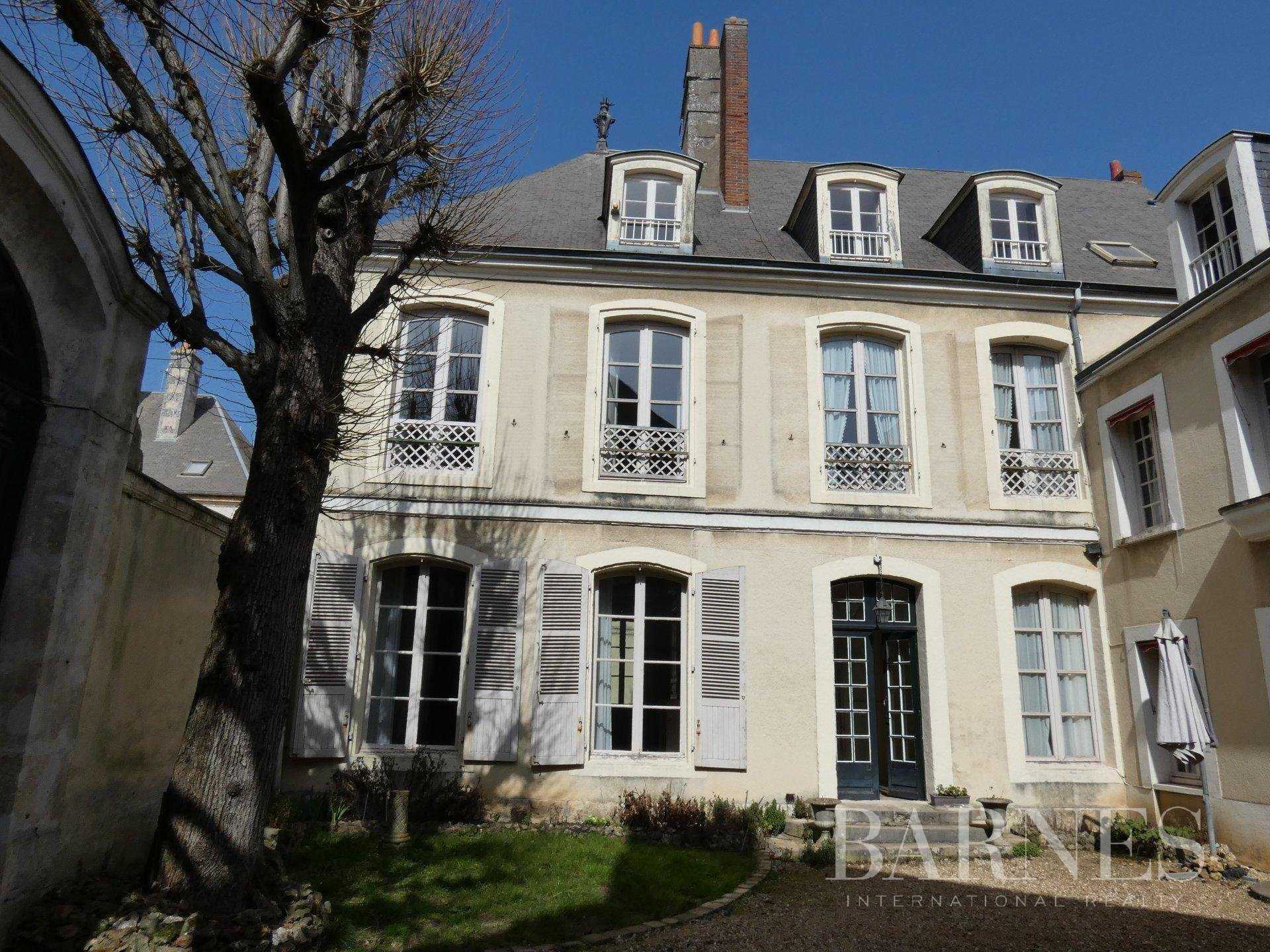 Mansion Châteaudun  -  ref 6629348 (picture 1)