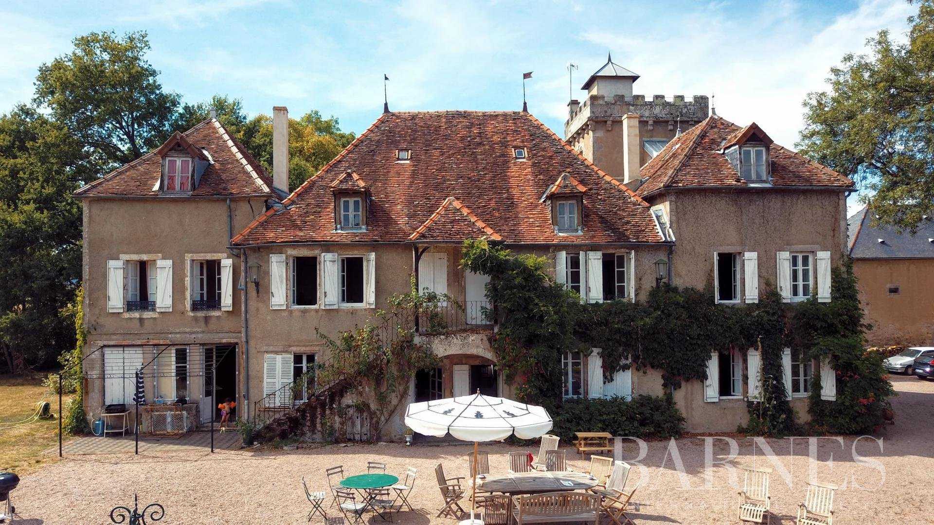 Étang-sur-Arroux  - Château 18 Pièces 11 Chambres