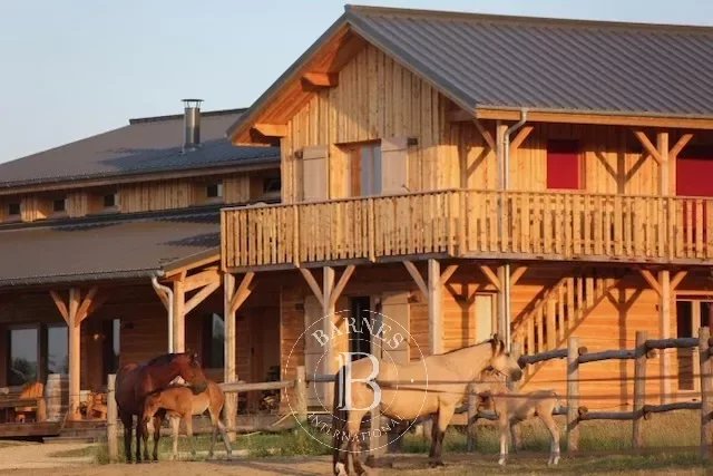 Equestrian estate Limoges  -  ref 84330134 (picture 3)