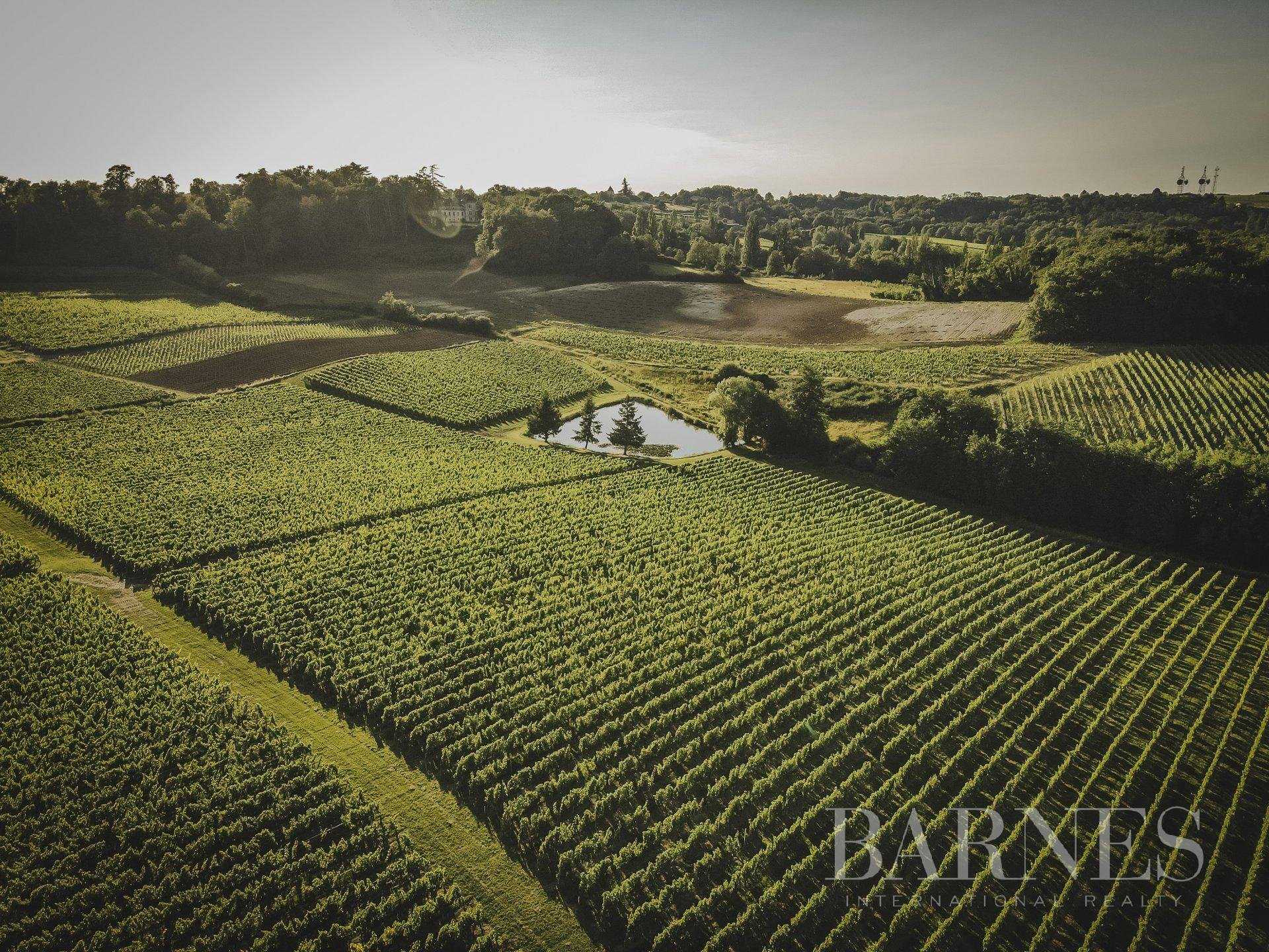 Vineyard property Bordeaux  -  ref 3822905 (picture 1)