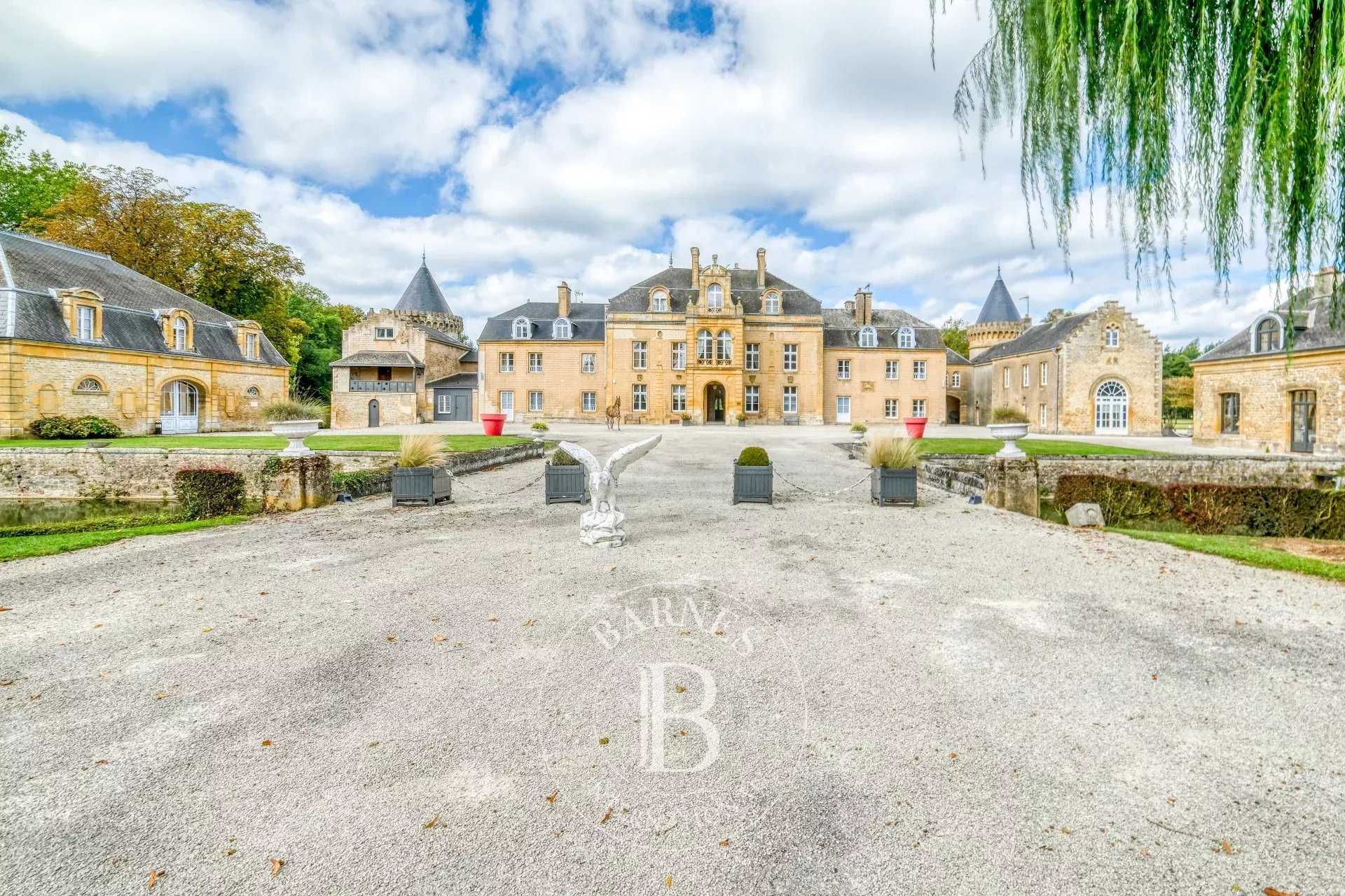 Castillo Donchery  -  ref 86344756 (picture 3)