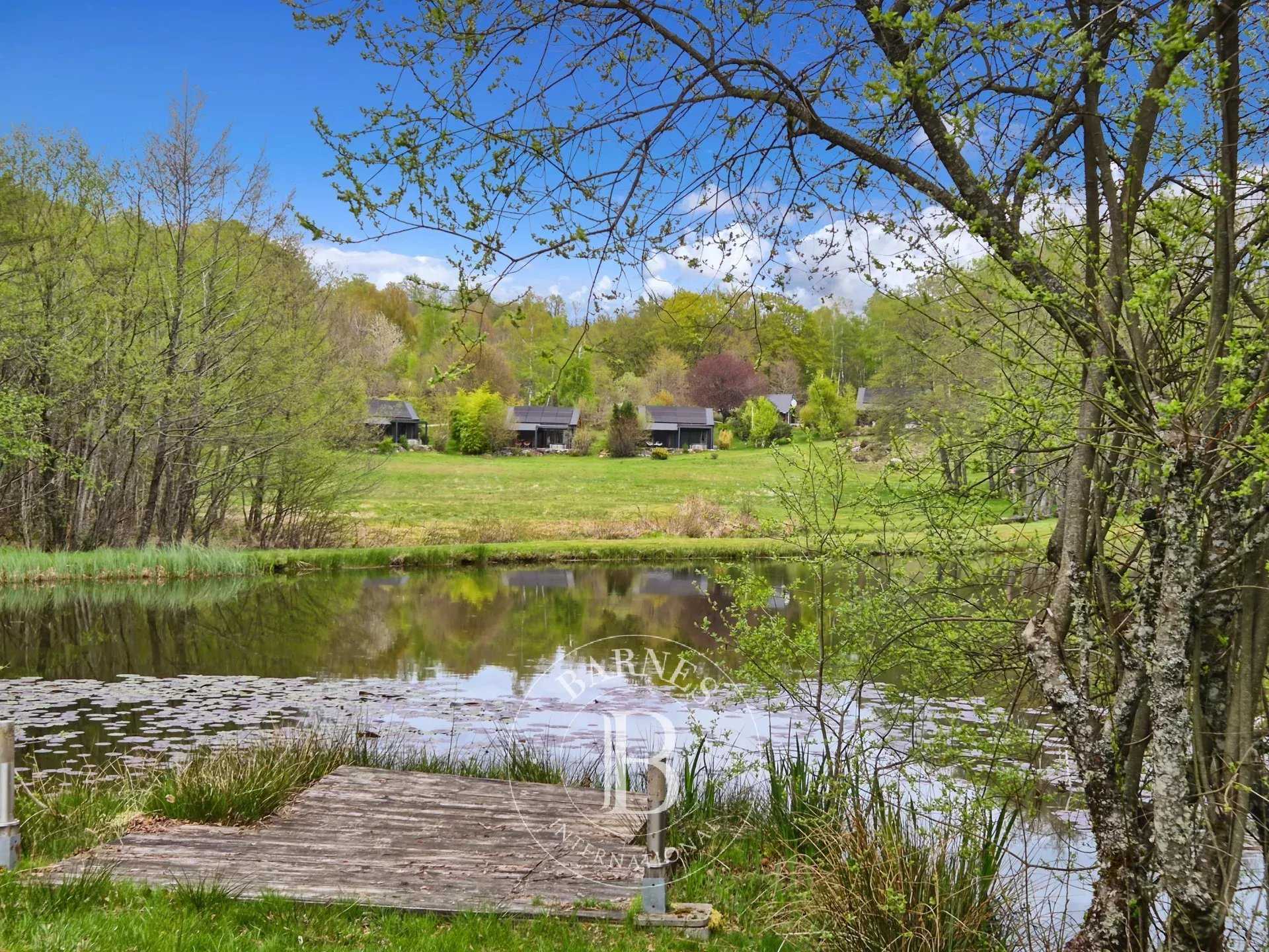Gîte Champs-sur-Tarentaine-Marchal  -  ref 87014897 (picture 3)