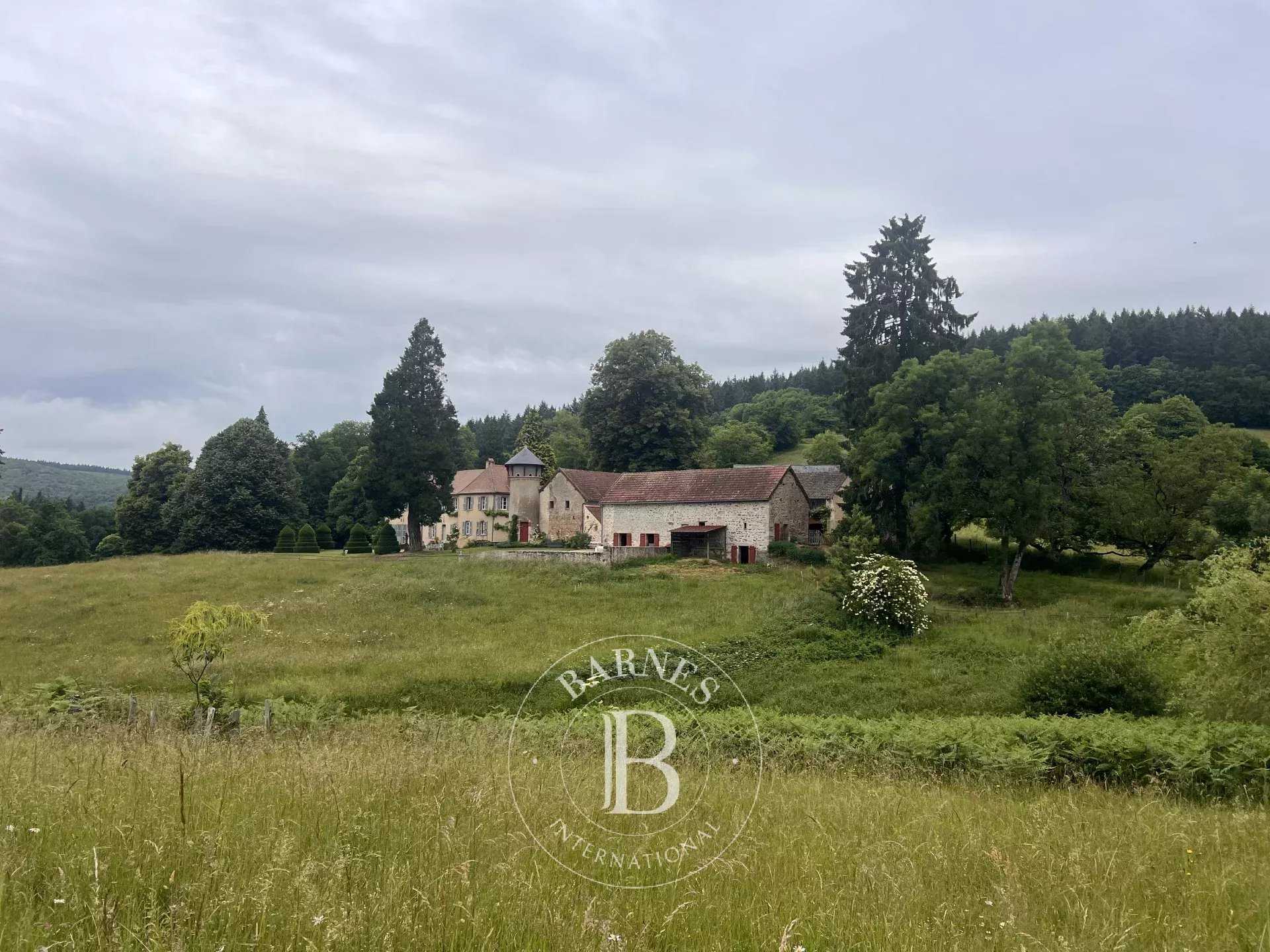 Château Luzy  -  ref 86052187 (picture 2)