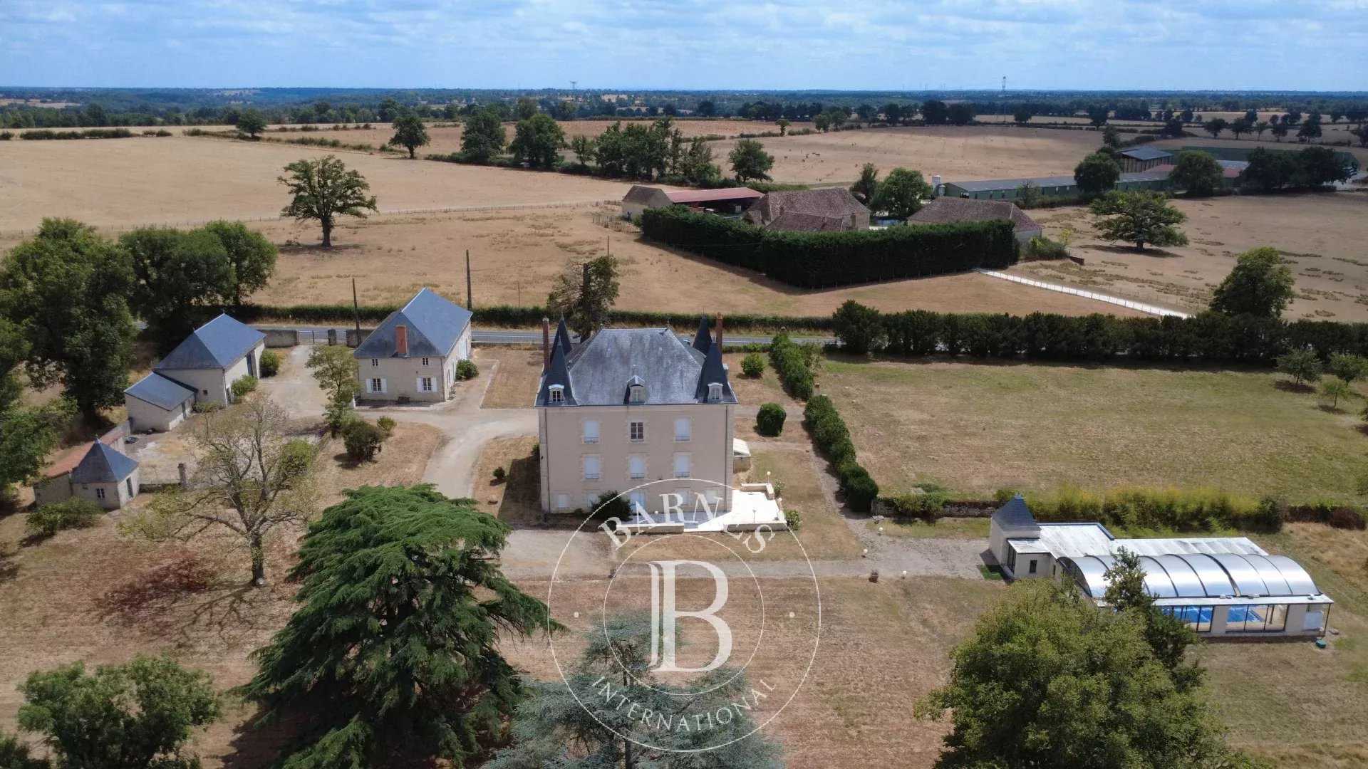 Manor house La Trimouille  -  ref 85270522 (picture 3)