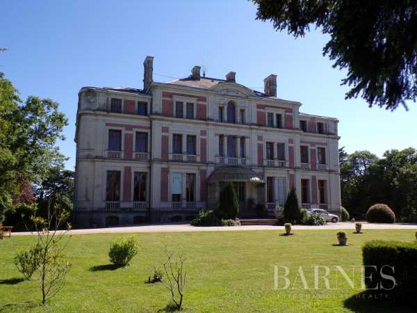 Château Ancenis  -  ref 3959703 (picture 2)