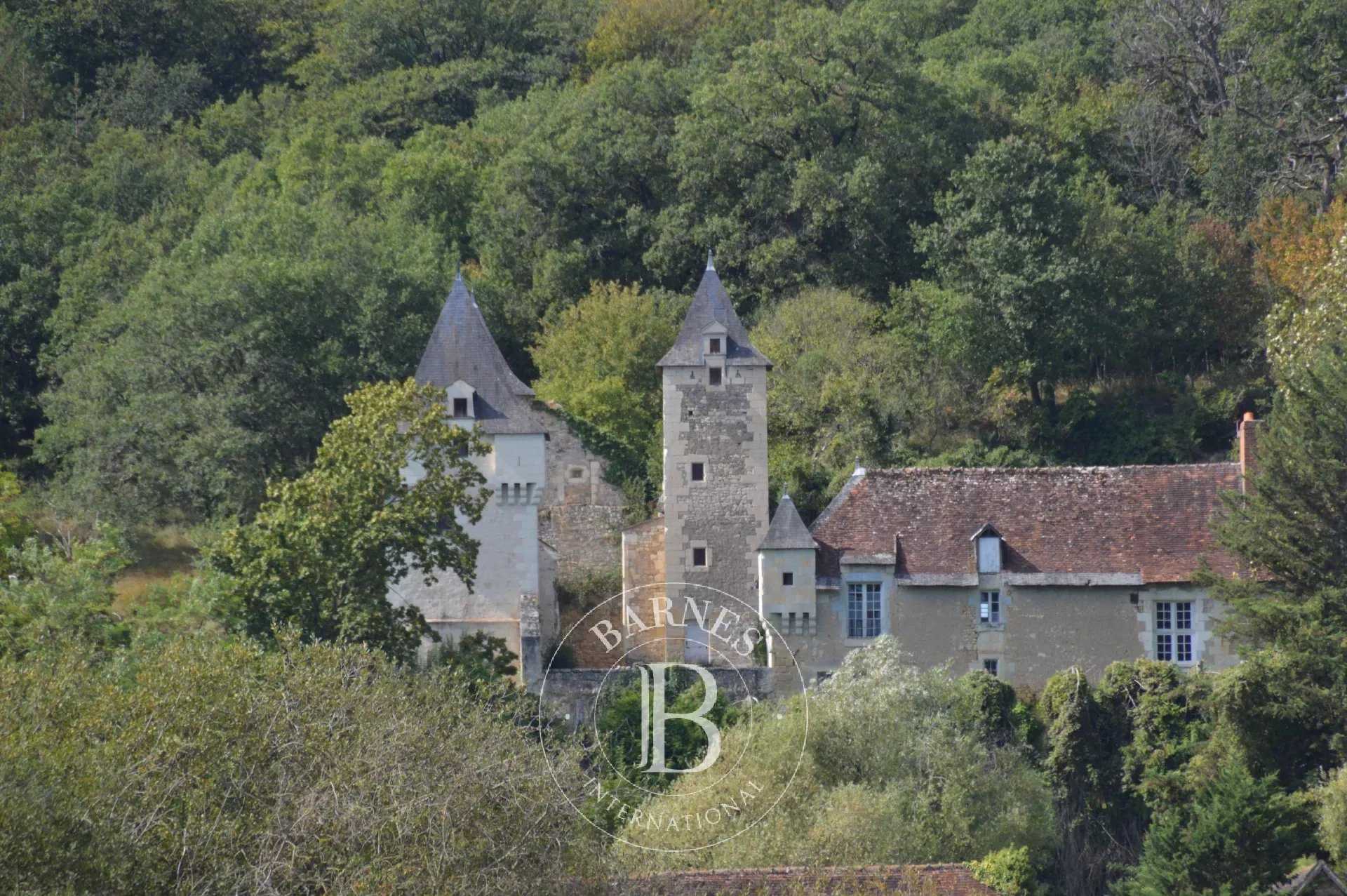 Château Châtellerault  -  ref 83607457 (picture 2)