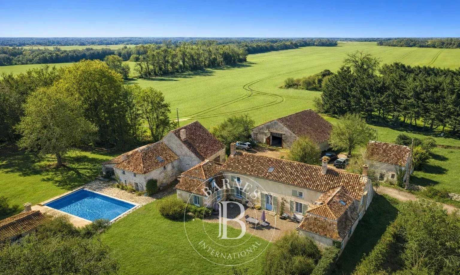 Manoir Saint-Savin  -  ref 86506310 (picture 3)