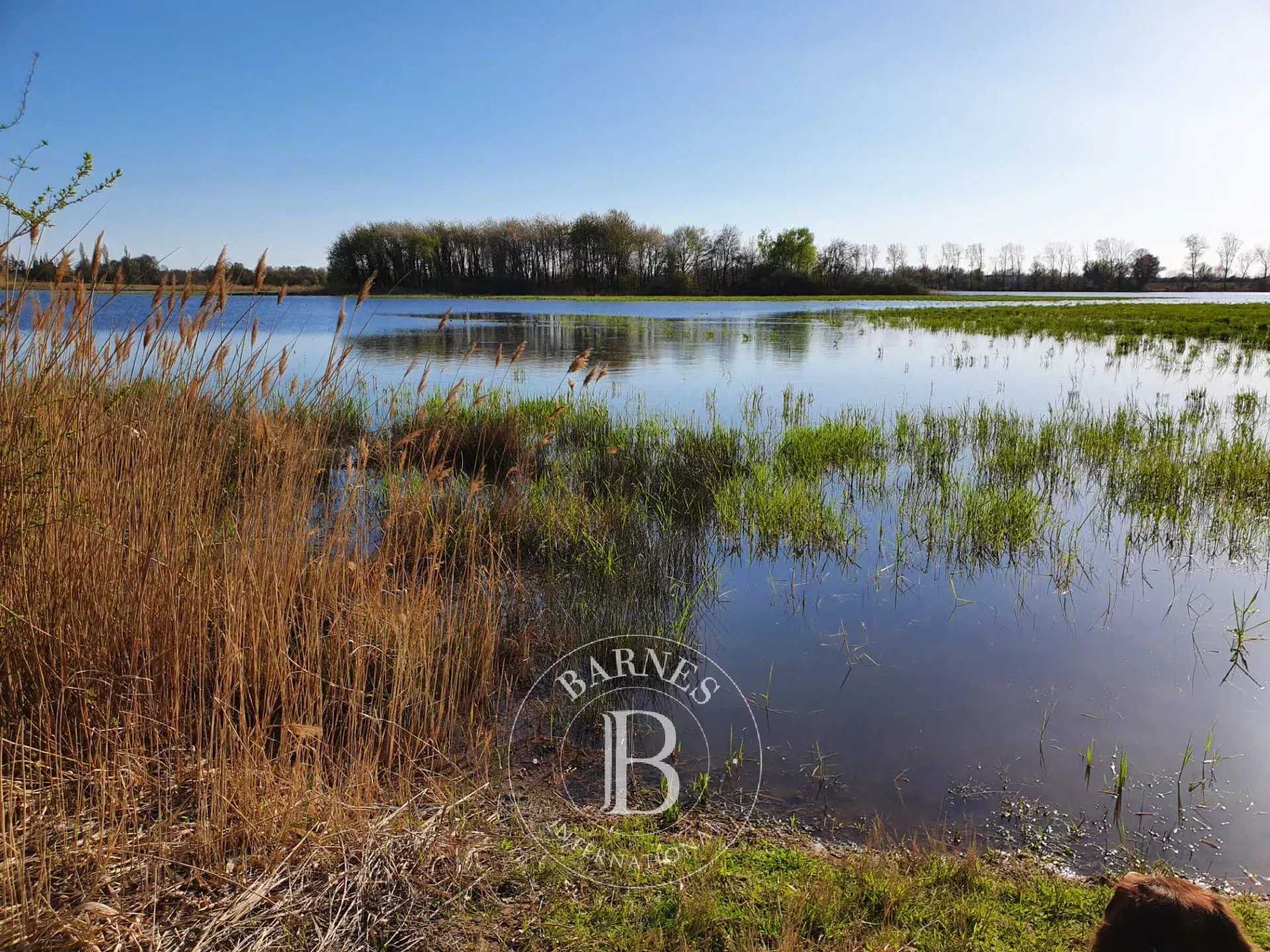 Propriété Villars-les-Dombes  -  ref 84805612 (picture 2)