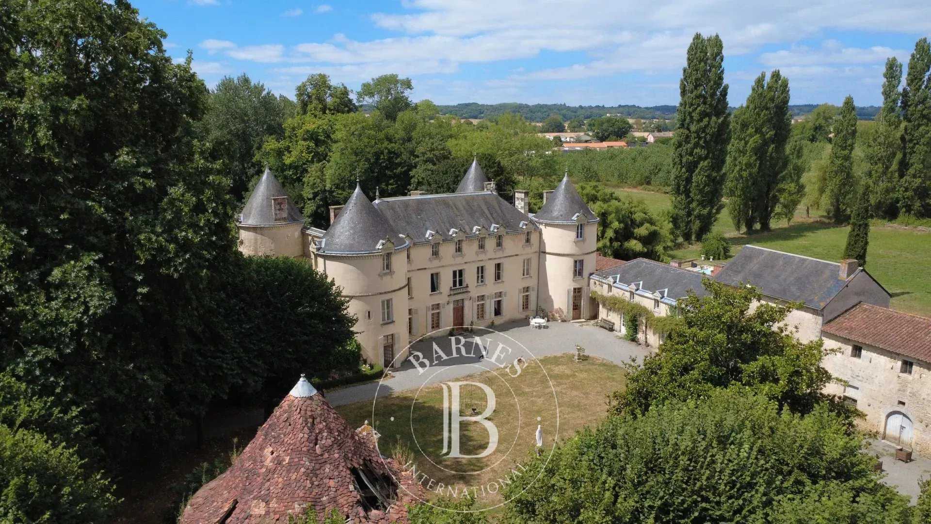 Castle La Châtaigneraie  -  ref 86122953 (picture 2)