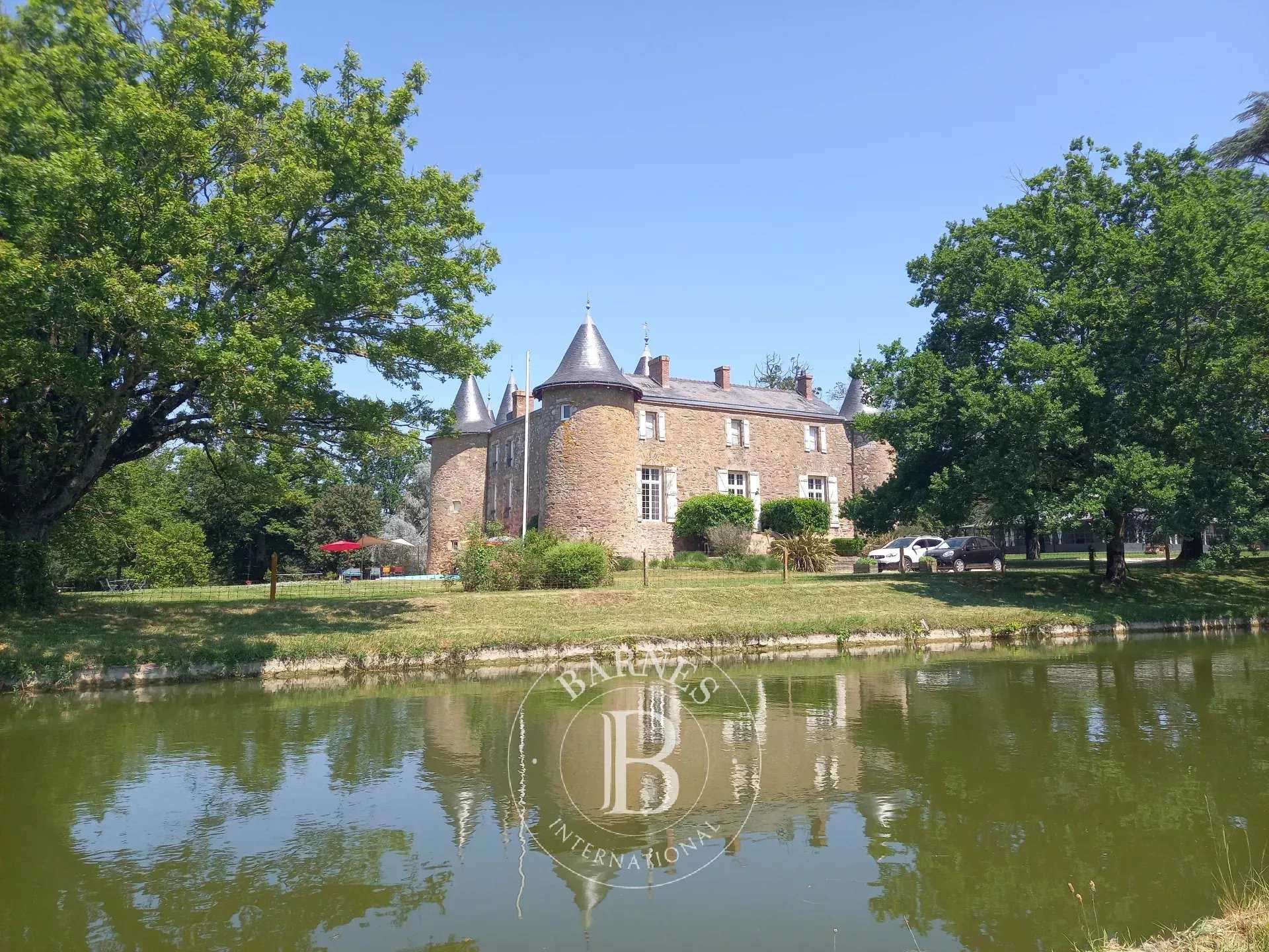 Castle Saint-Laurent-sur-Sèvre  -  ref 2553543 (picture 2)