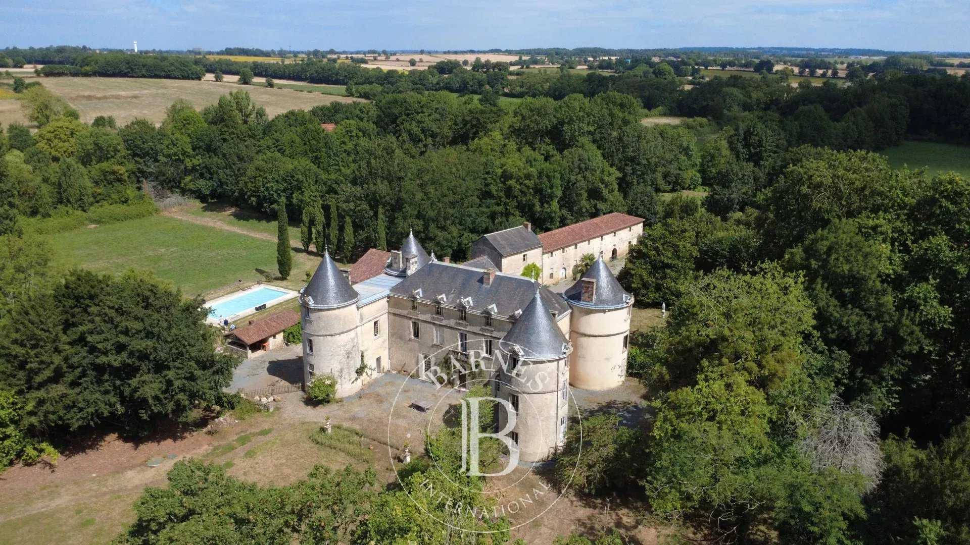 Castle La Châtaigneraie  -  ref 86122953 (picture 1)