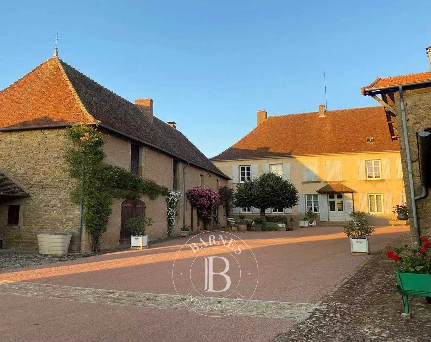 Property Baudemont  -  ref 86093172 (picture 3)