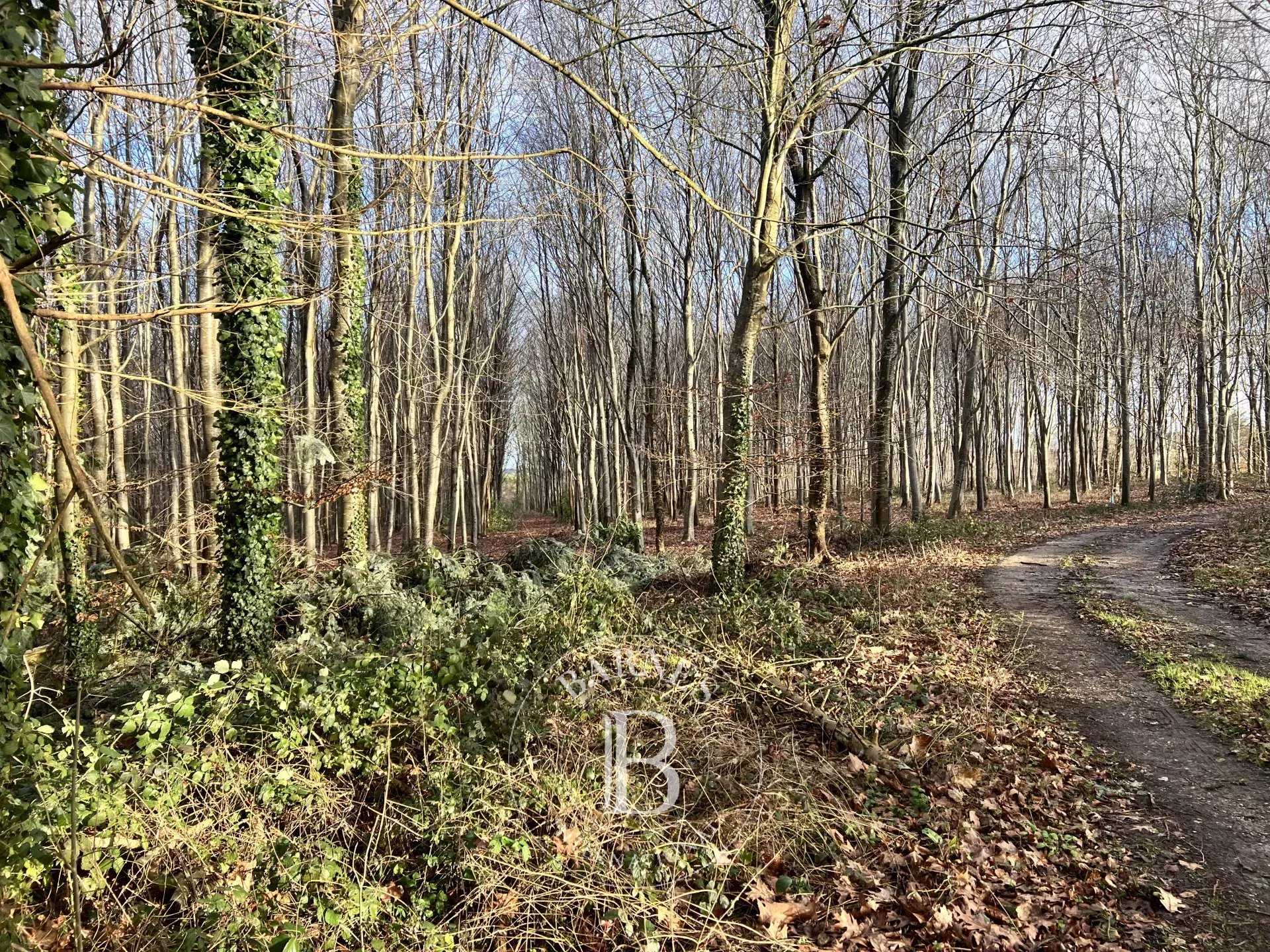 Domaine de chasse Rouen  -  ref 86750698 (picture 1)