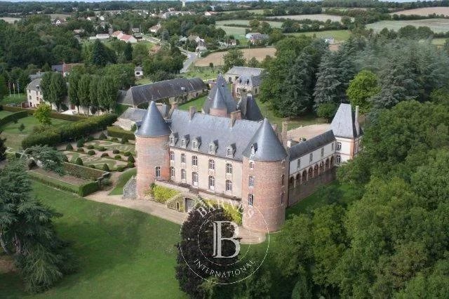 Château Aubigny-sur-Nère  -  ref 7420166 (picture 1)