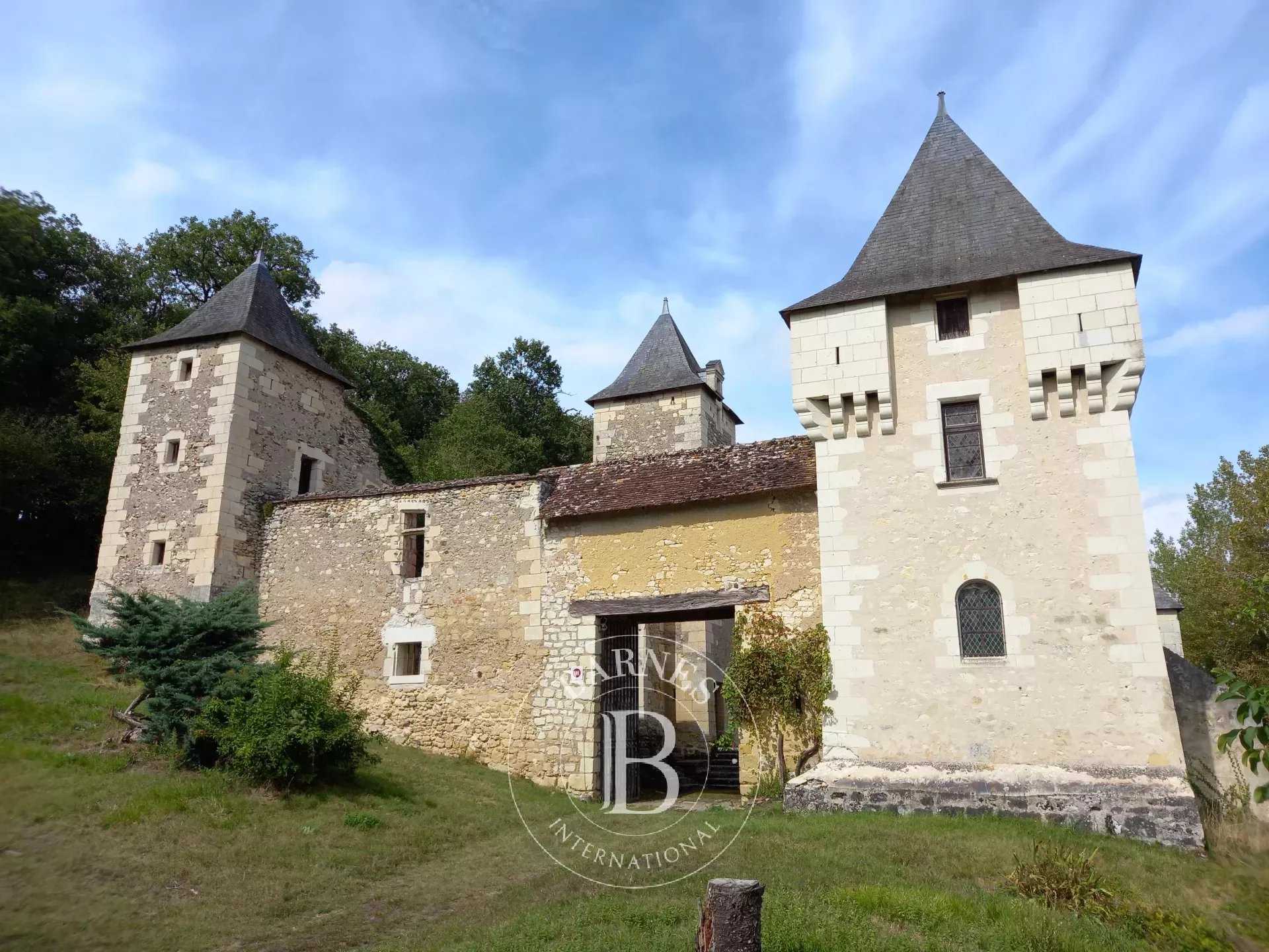 Château Châtellerault  -  ref 83607457 (picture 3)