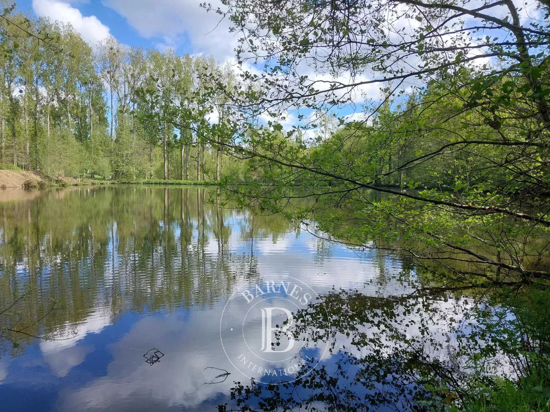Propriété Mortagne-au-Perche  -  ref 86414630 (picture 2)