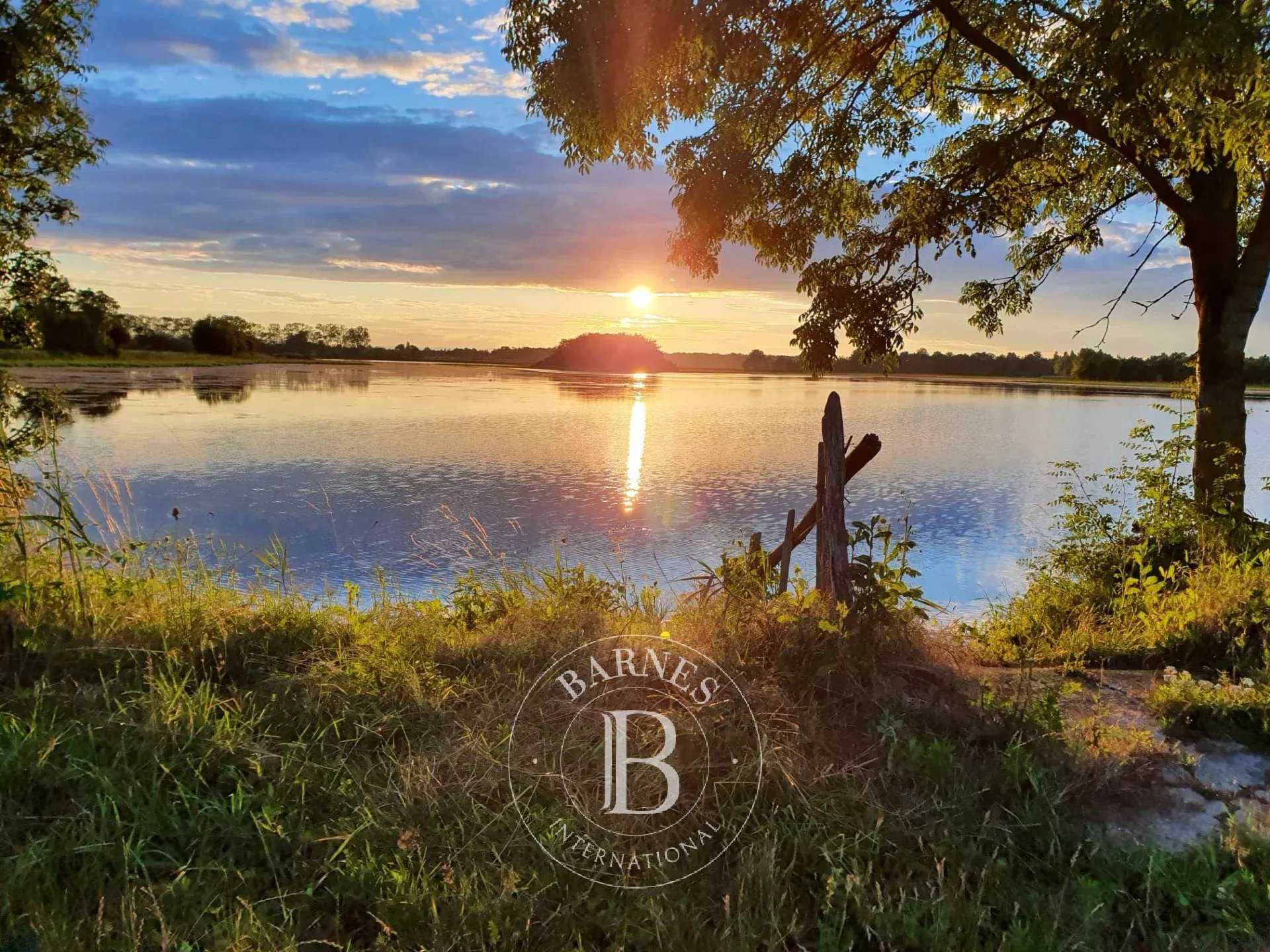 Villars-les-Dombes  - Property 