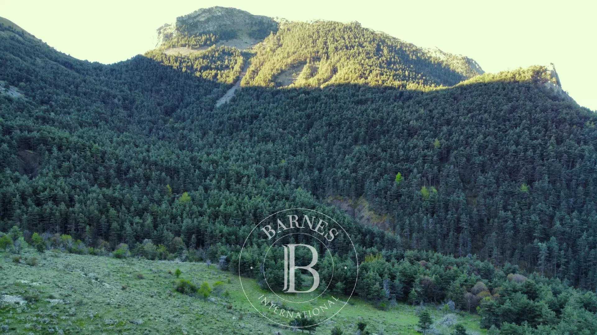 Game reserve Tartonne  -  ref 84843726 (picture 2)