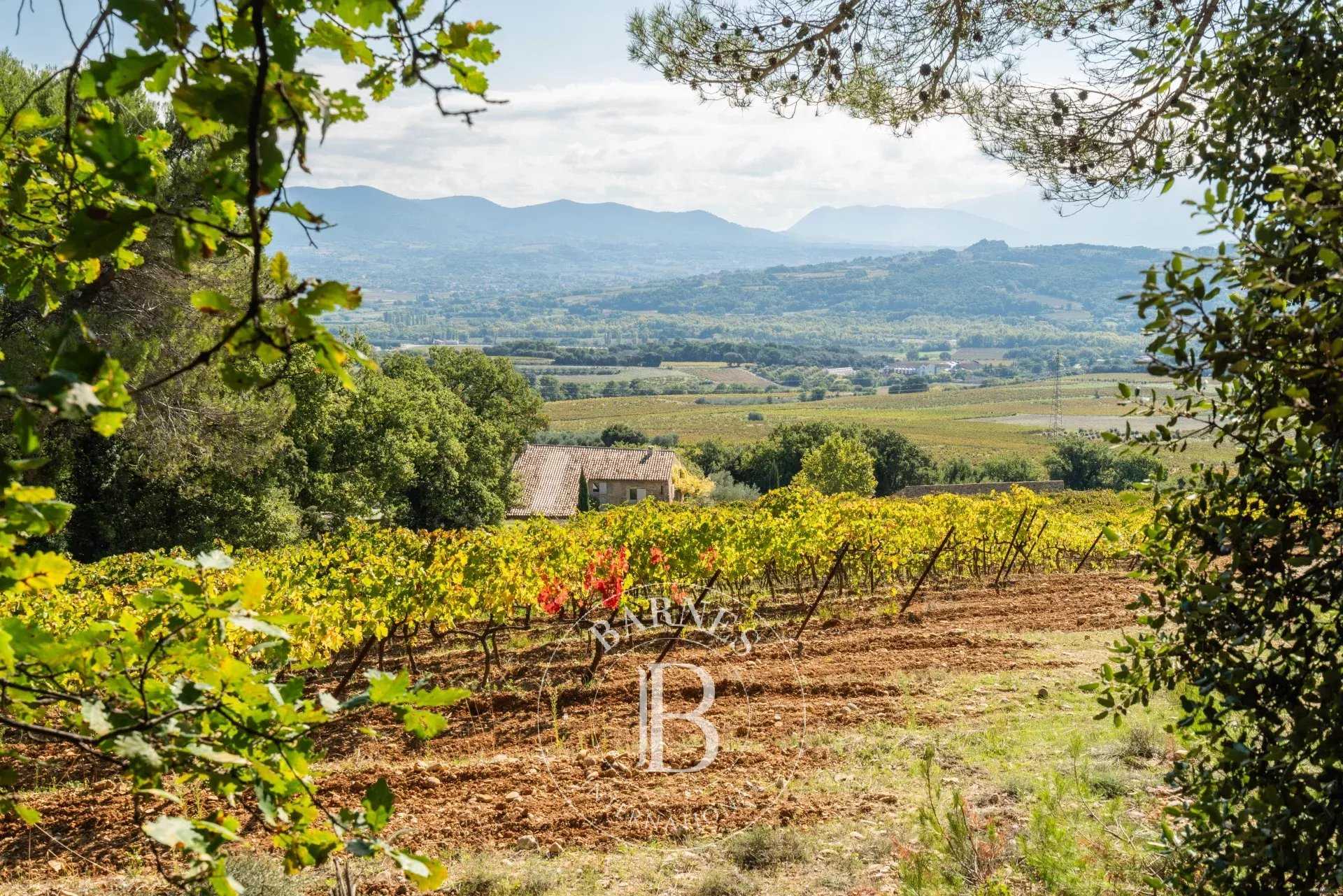 Propriété viticole Vaison-la-Romaine  -  ref 86954300 (picture 2)
