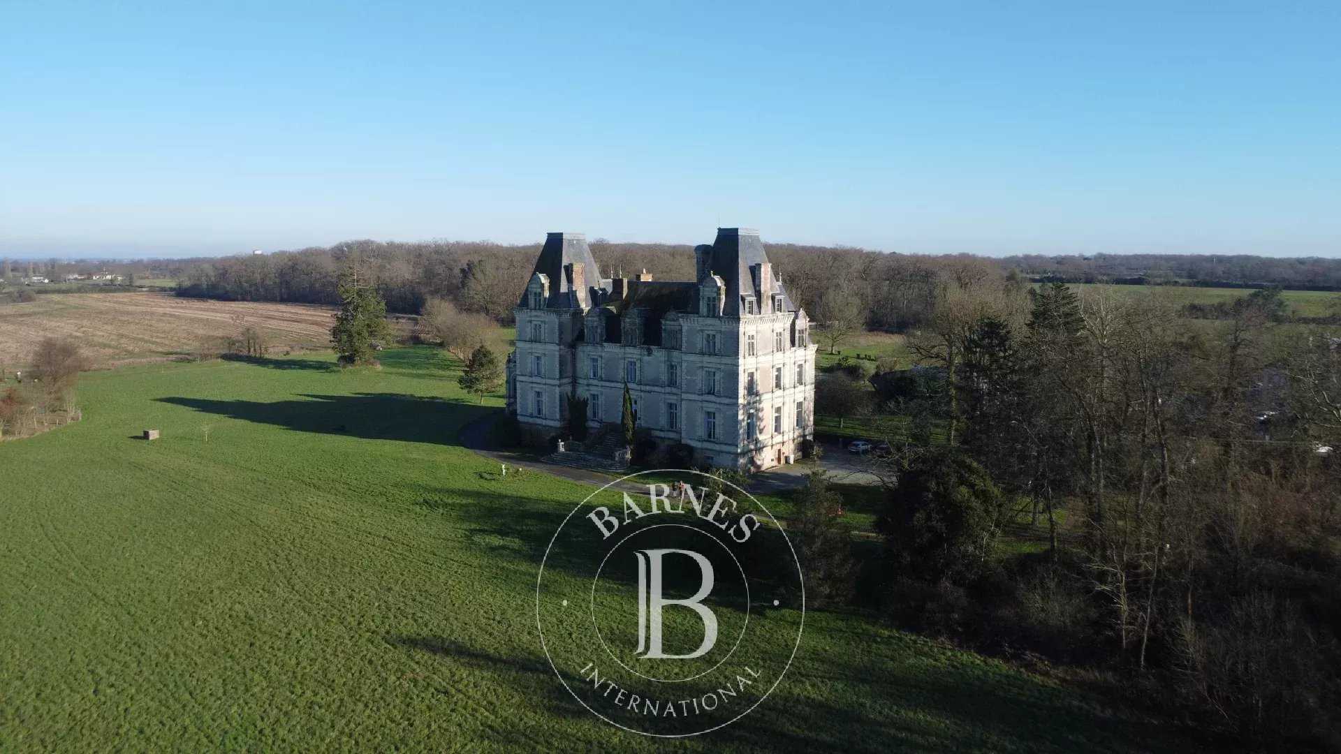 Castle Mortagne-sur-Sèvre  -  ref 2875721 (picture 1)