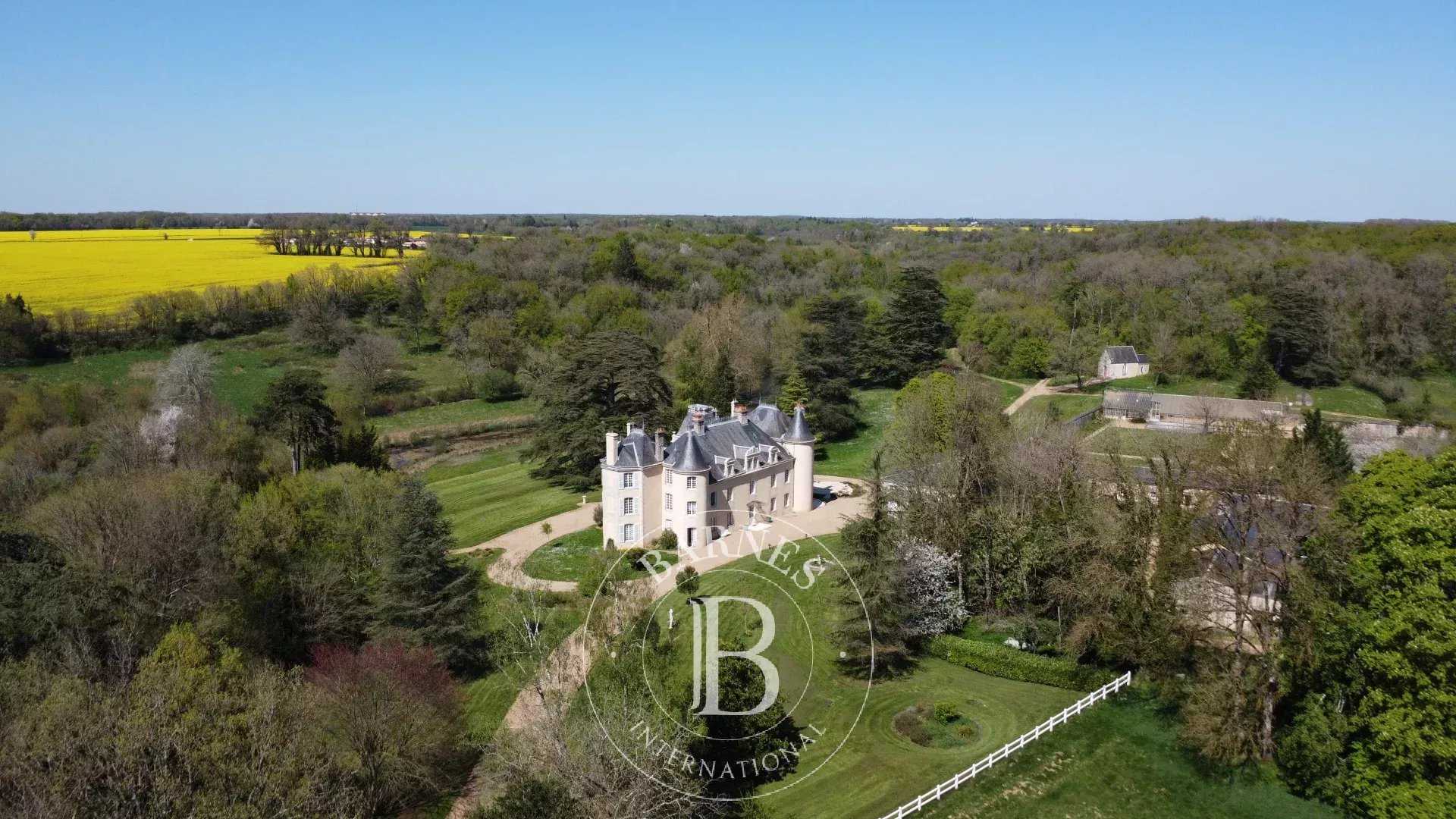 Château Poitiers  -  ref 85432176 (picture 3)