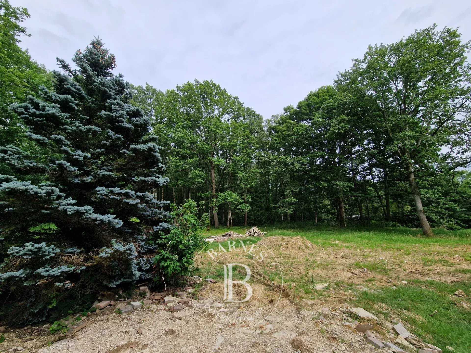 Terrain constructible Chevreuse  -  ref 85420449 (picture 1)
