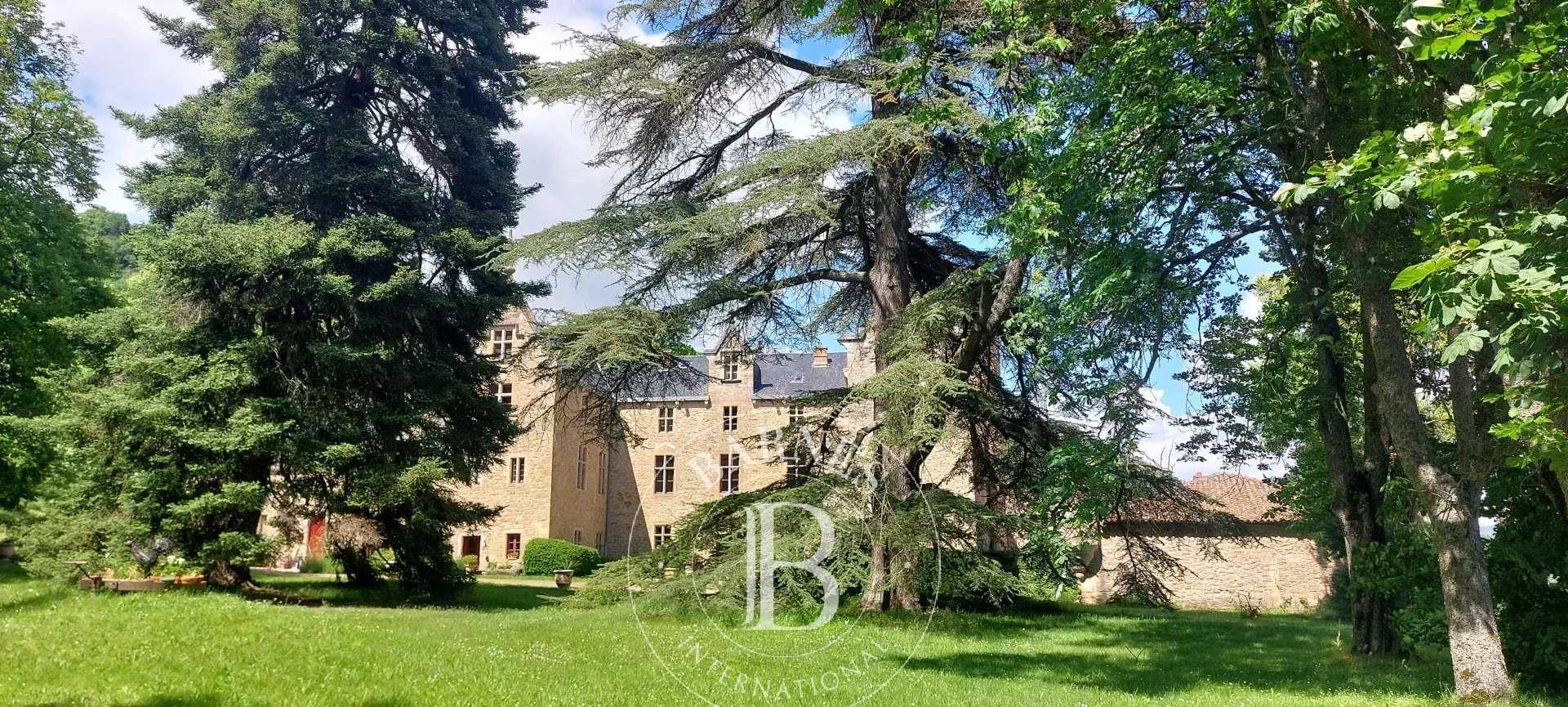 Château Millau  -  ref 85114345 (picture 1)