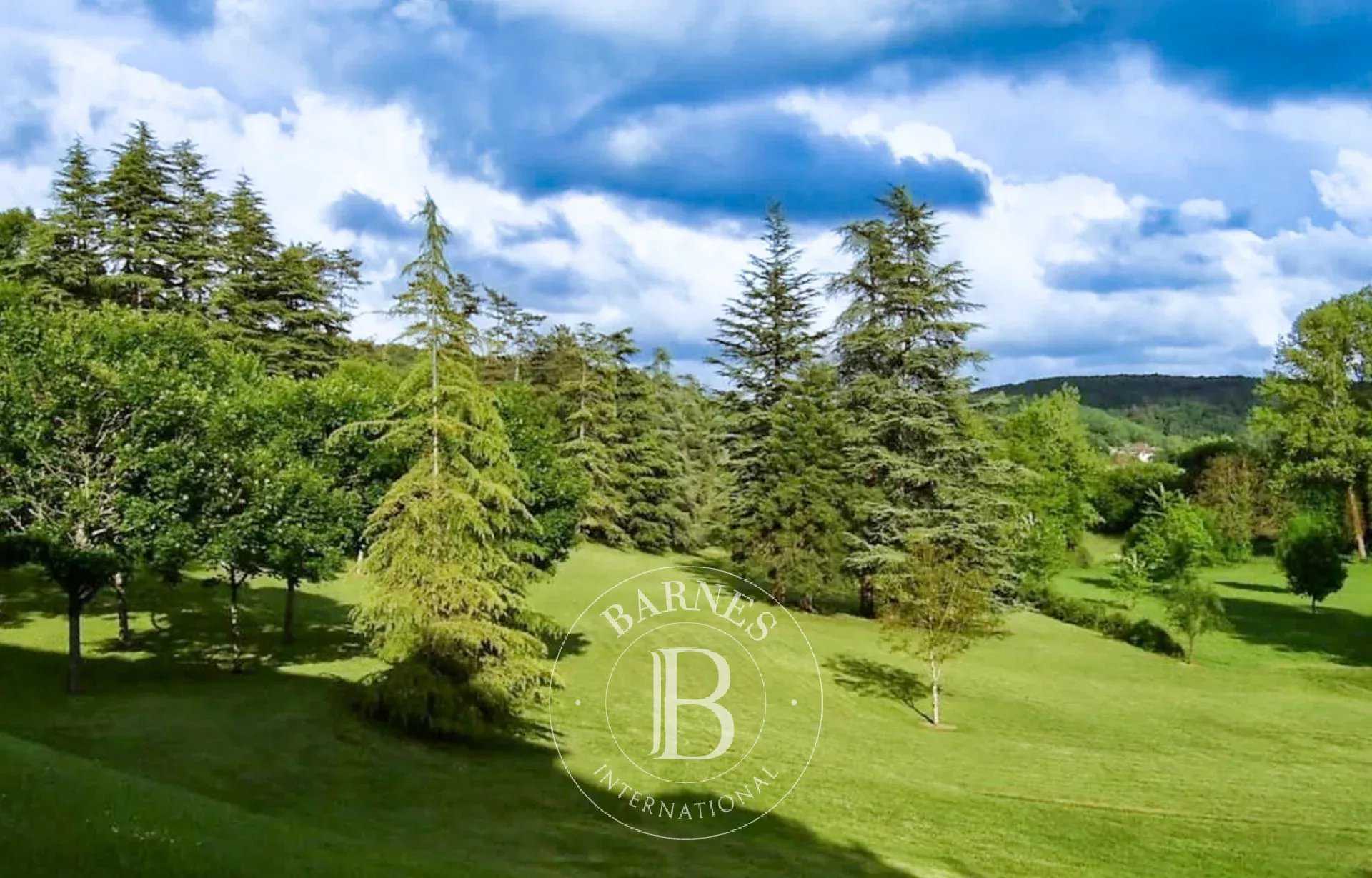 Château Montignac  -  ref 85188331 (picture 1)