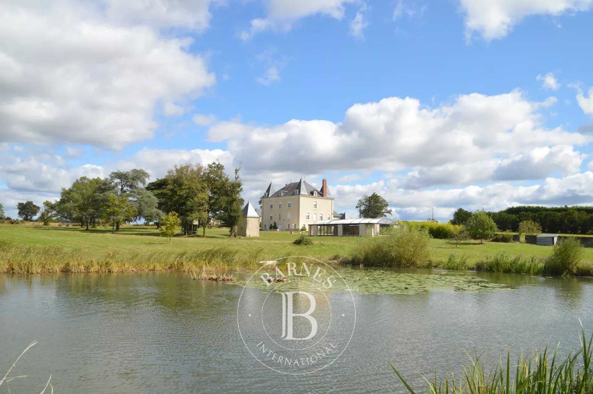 Manoir La Trimouille  -  ref 85270522 (picture 1)