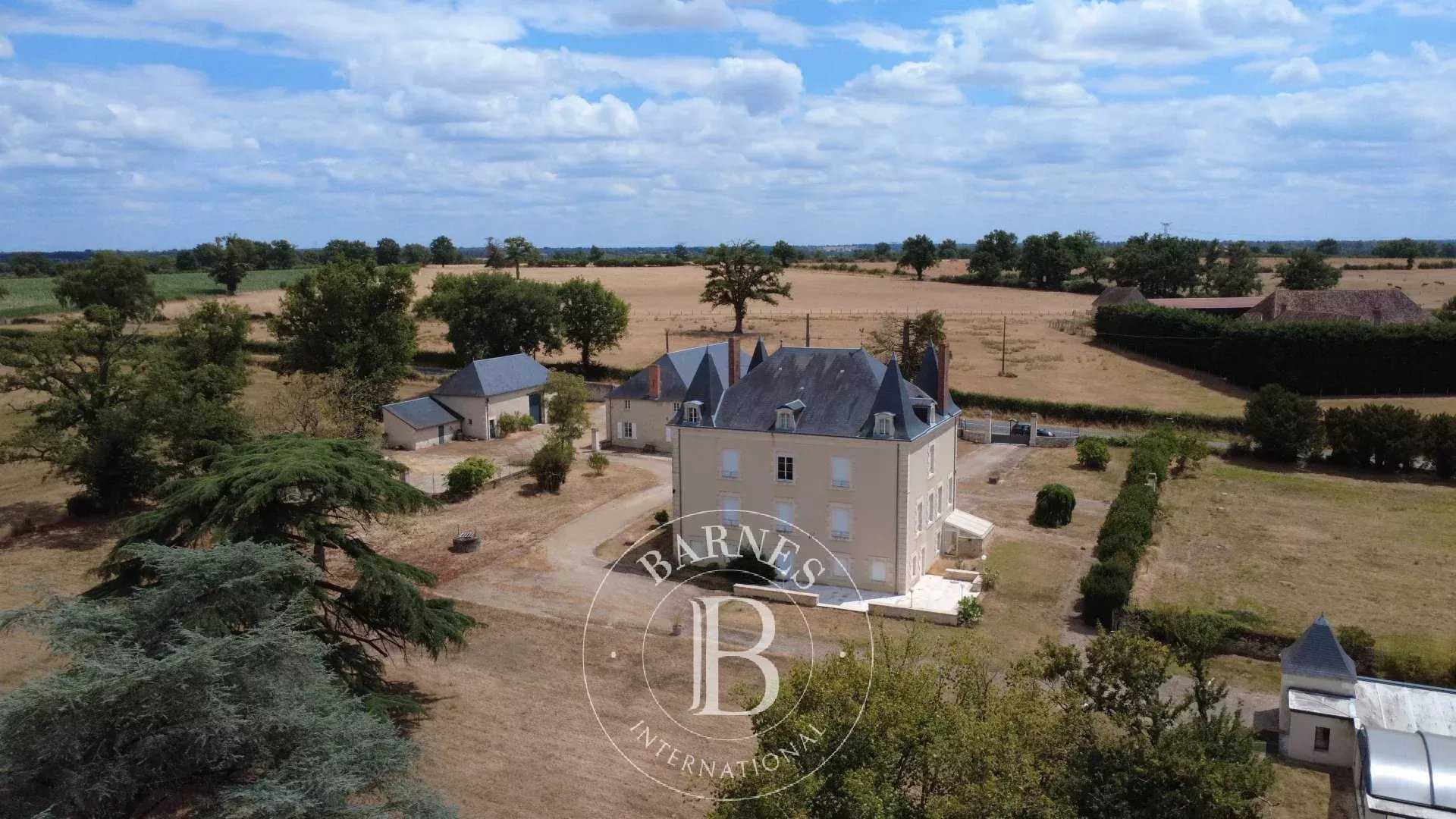 Manor house La Trimouille  -  ref 85270522 (picture 2)