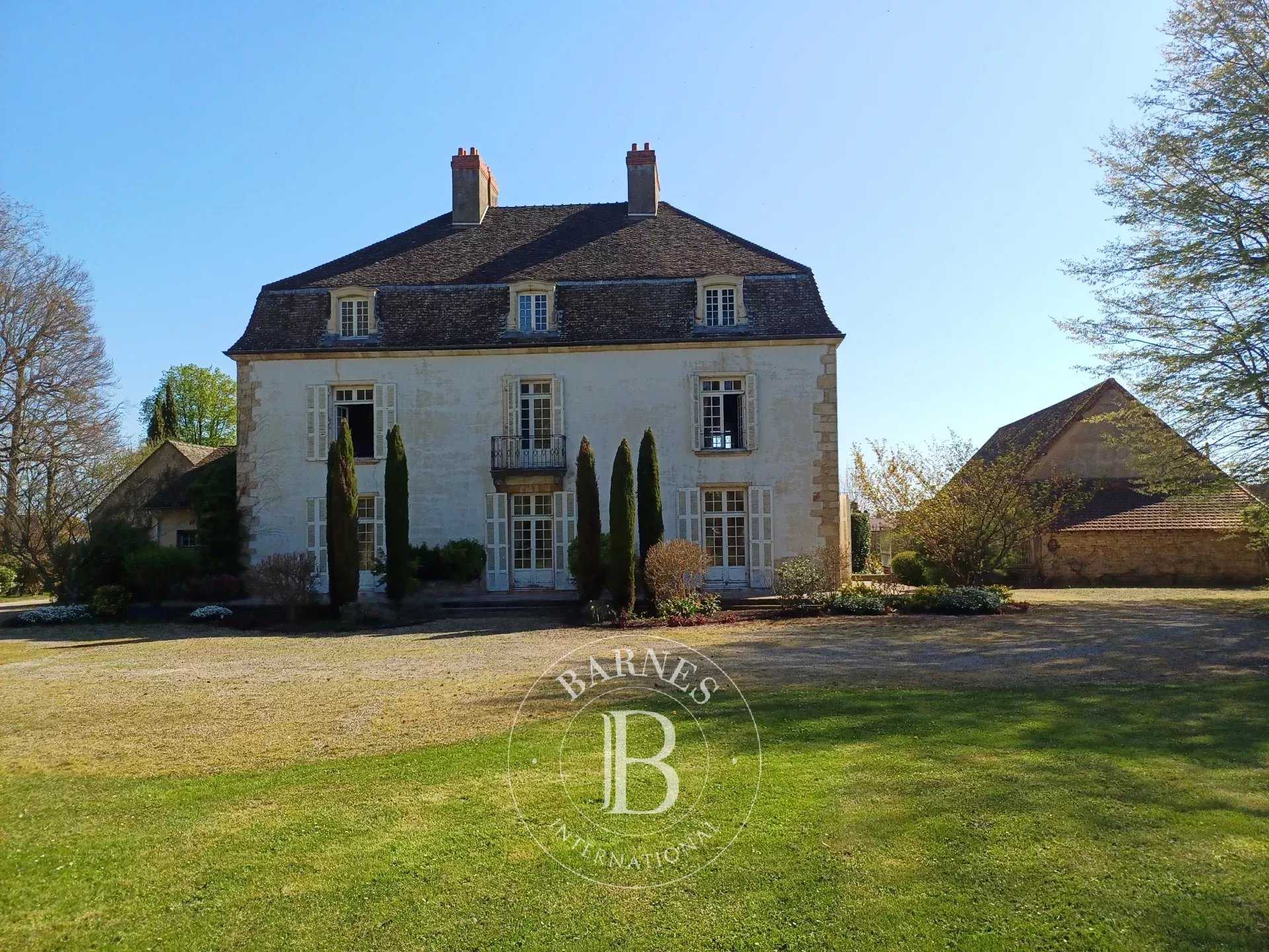 Propriété Chalon-sur-Saône  -  ref 82295047 (picture 3)