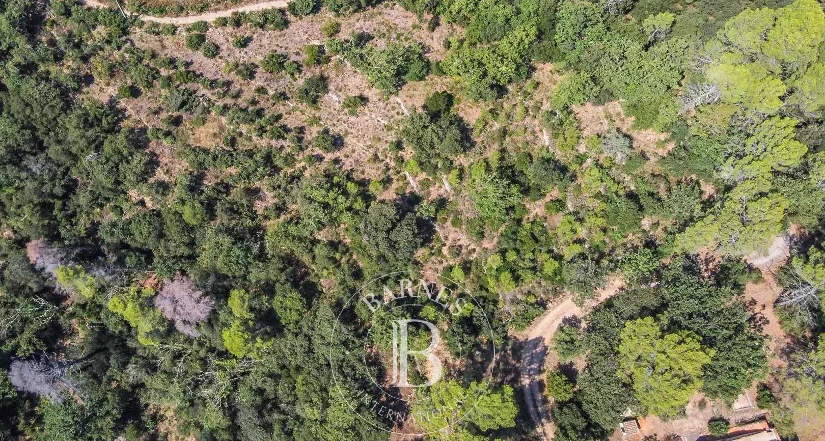 Terrain constructible Bagnols-en-Forêt  -  ref 86789380 (picture 3)
