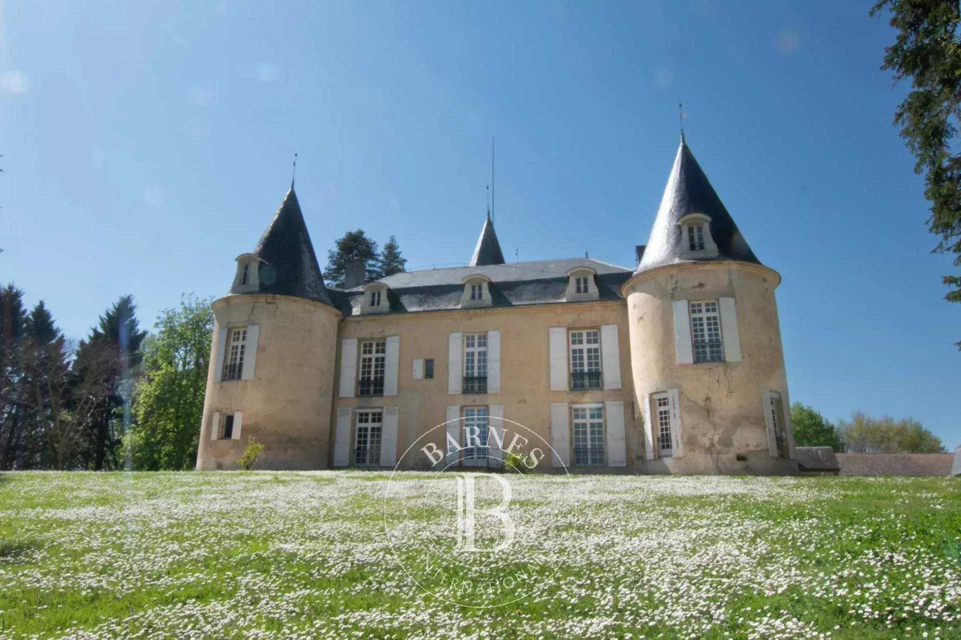Château Bergerac  -  ref 85841705 (picture 1)